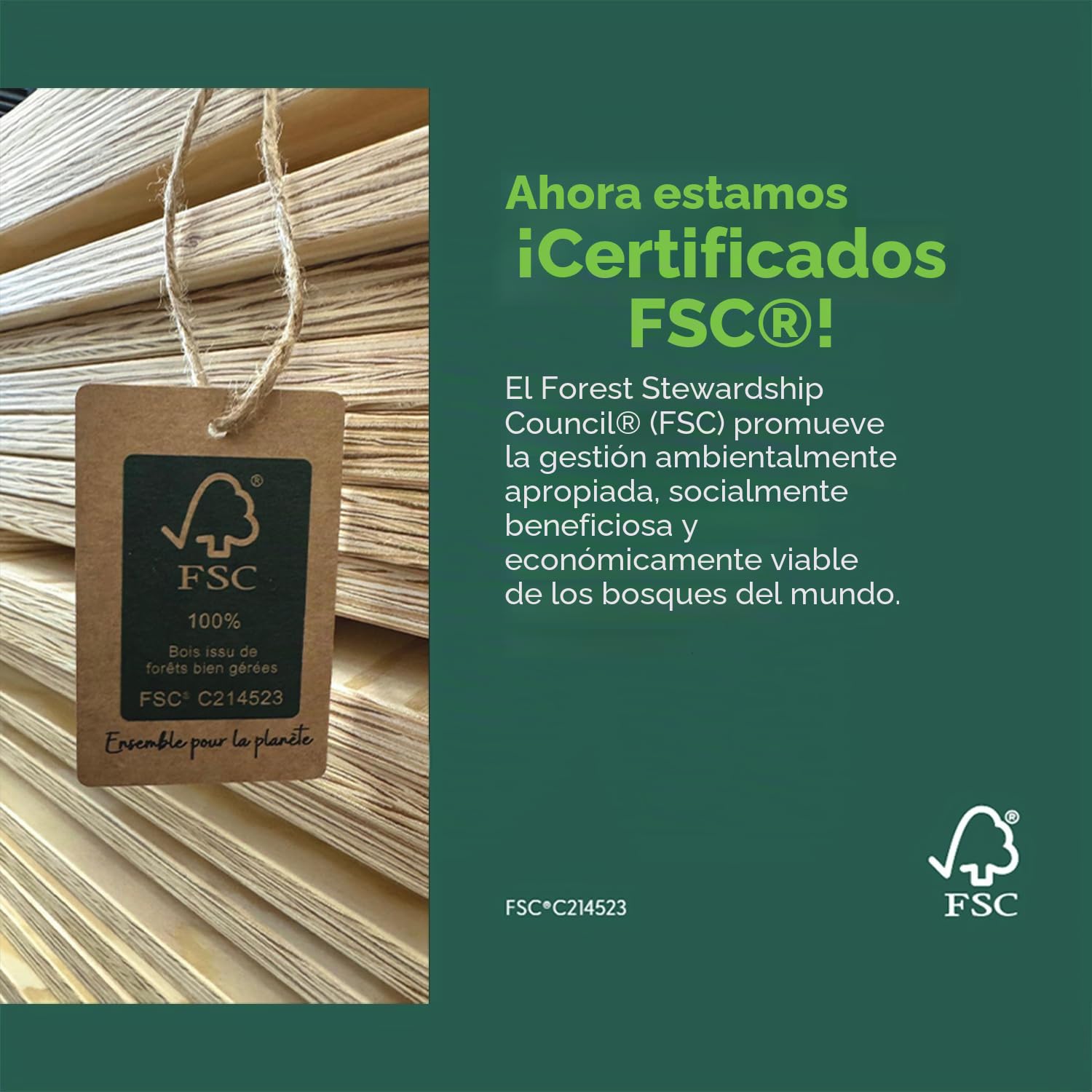 smartwood Cama Montessori 90x190 cm Madera - Cama Infantil de Madera con Certificado FSC, con Barrera Anticaídas y Somier Flexible para 230 kg - para Niño y Niña - Montaje Sencillo - TILA 6