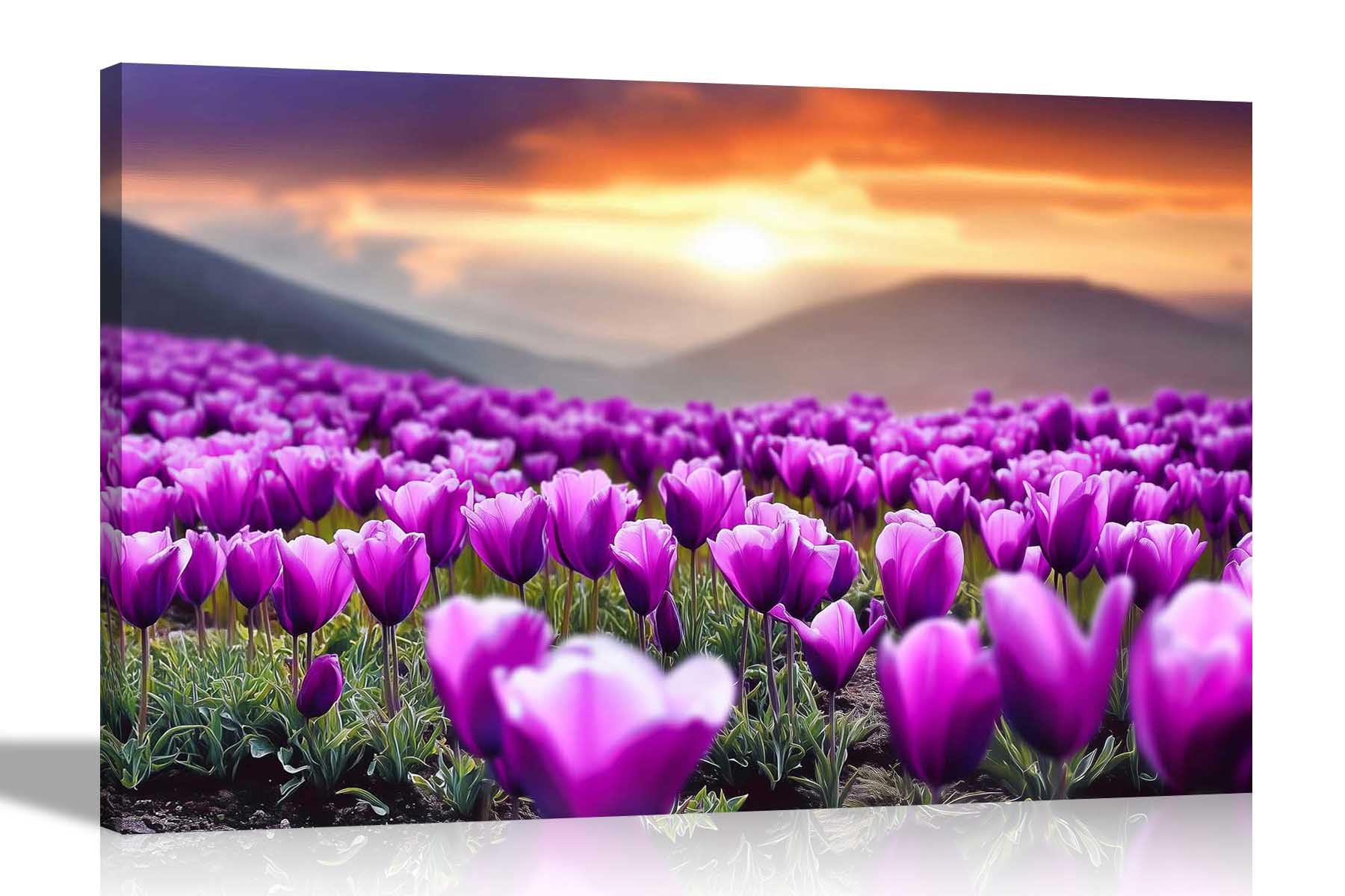 Artley Prints Tulip Field Mountain Sunrise - Purple Tulip Field Sunrise Mountain Canvas Prints Art For Living Room Conservatory Hallway Decoration Pictures 40 X 30Cm (16 X 12 Inches) A3