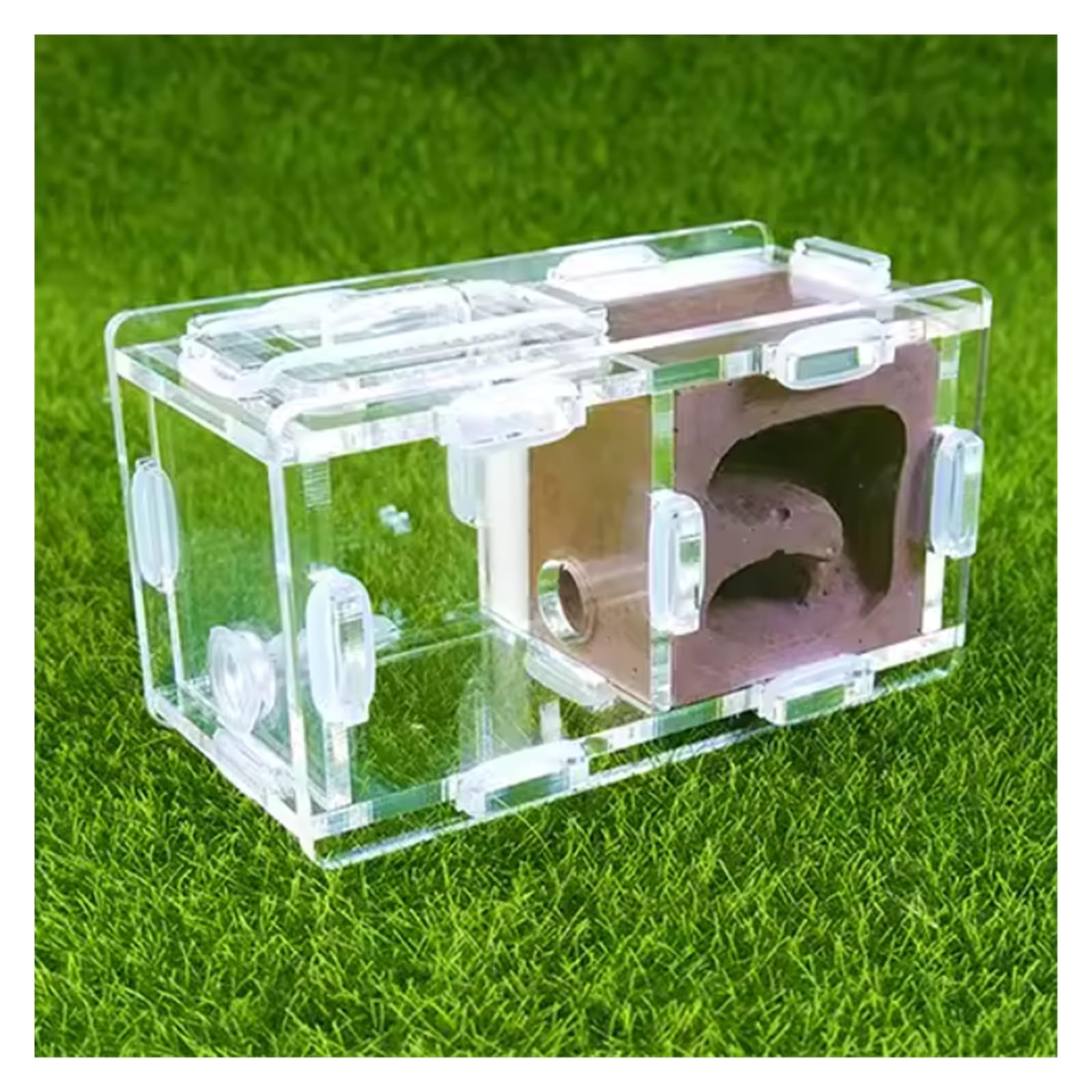 Formicarium Hormiga Experimento Científico De Granja De Nidos De Hormigas Nido De Insectos De Formicario para Herramientas De Educación Científica Granja Hormigas(Bruin)
