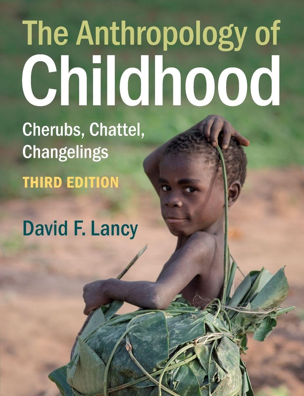 The Anthropology of Childhood 3rd Edition