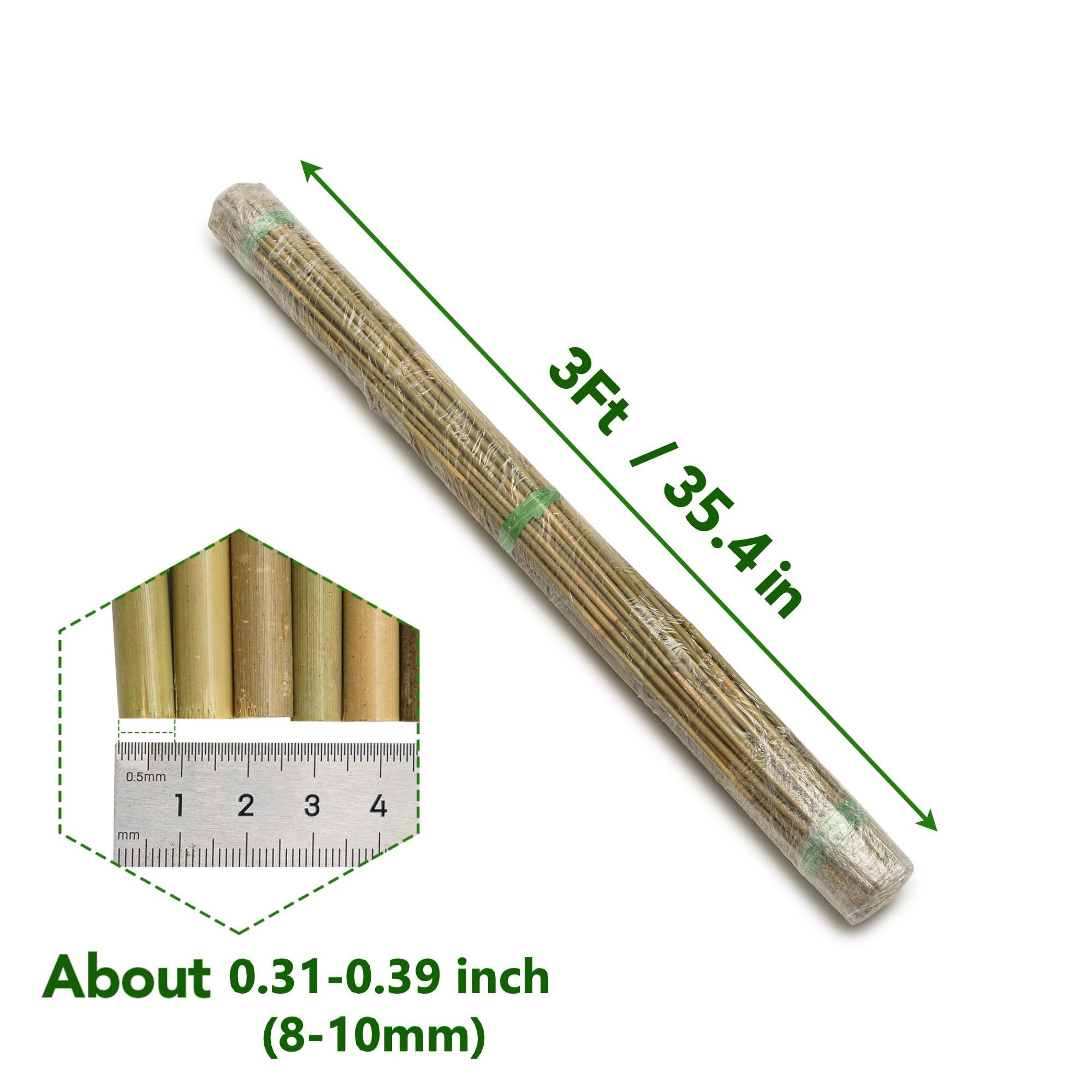 Taoskai 60Pcs Bamboo Stakes for Plant 5 Feet(57.5 inch), Garden Bamboo Plant Stakes for Plants Support, Climbing Plants, Tomatoes, Sunflowers, Beans, Potted Plants, Trees