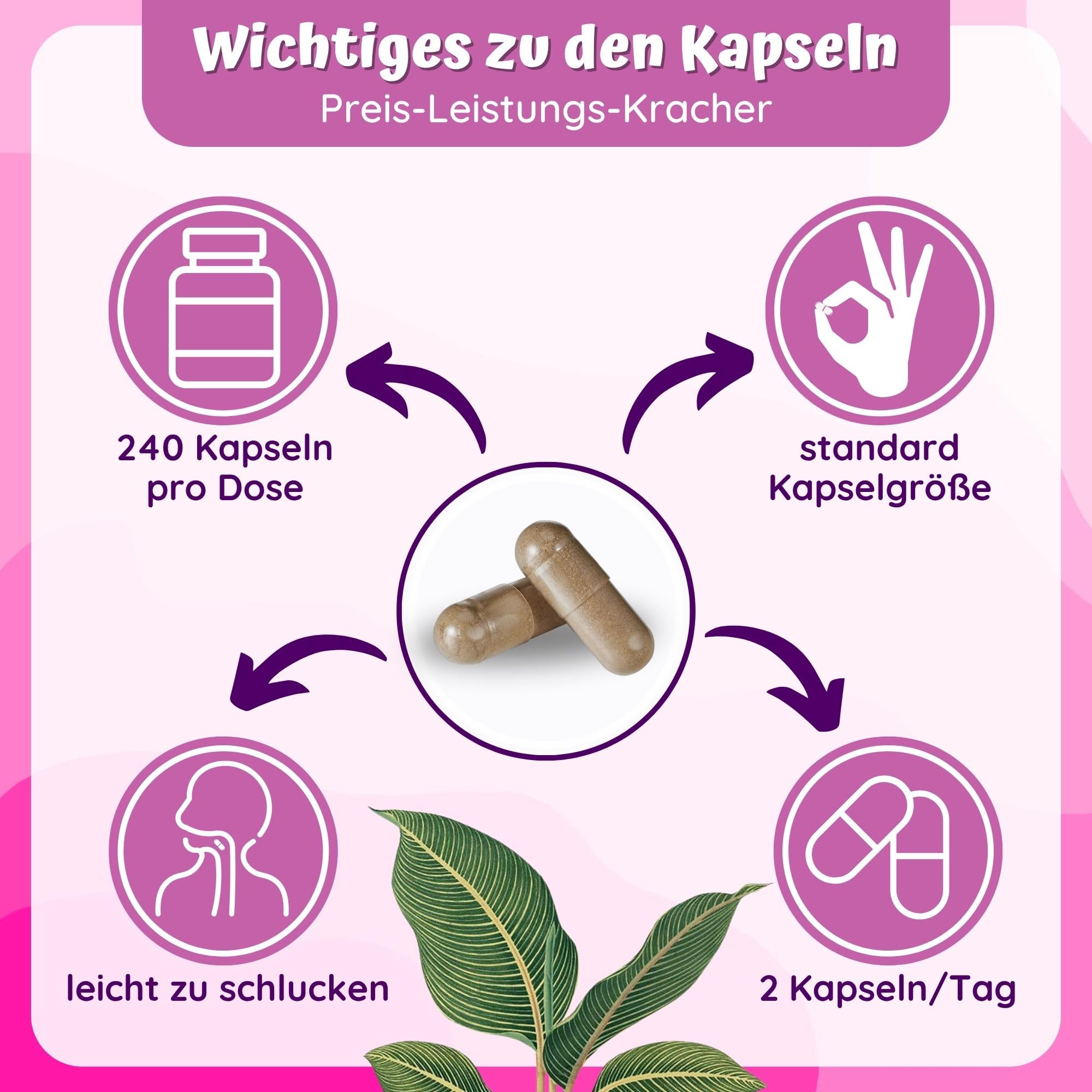 12fach Meno Komplex Wechseljahre Tabletten pflanzlich - Meno Balance Kur | 240 Yamswurzel Kapseln hochdosiert & Rotklee Kapseln + Ashwagandha Mönchspfeffer hochdosiert & B6 für Hormon Balance Frauen