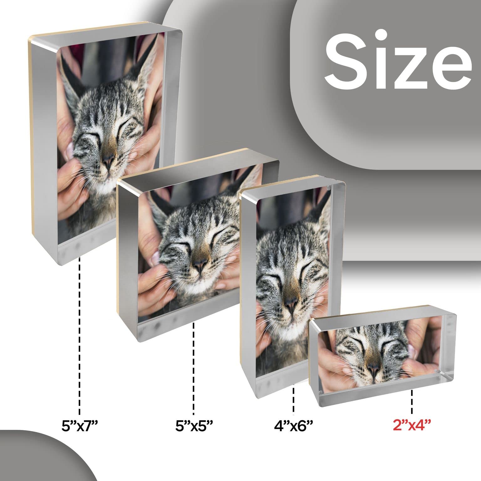 Amazon.com - Canetti Original Magnet Frame 2x4 Prestige Magnetic