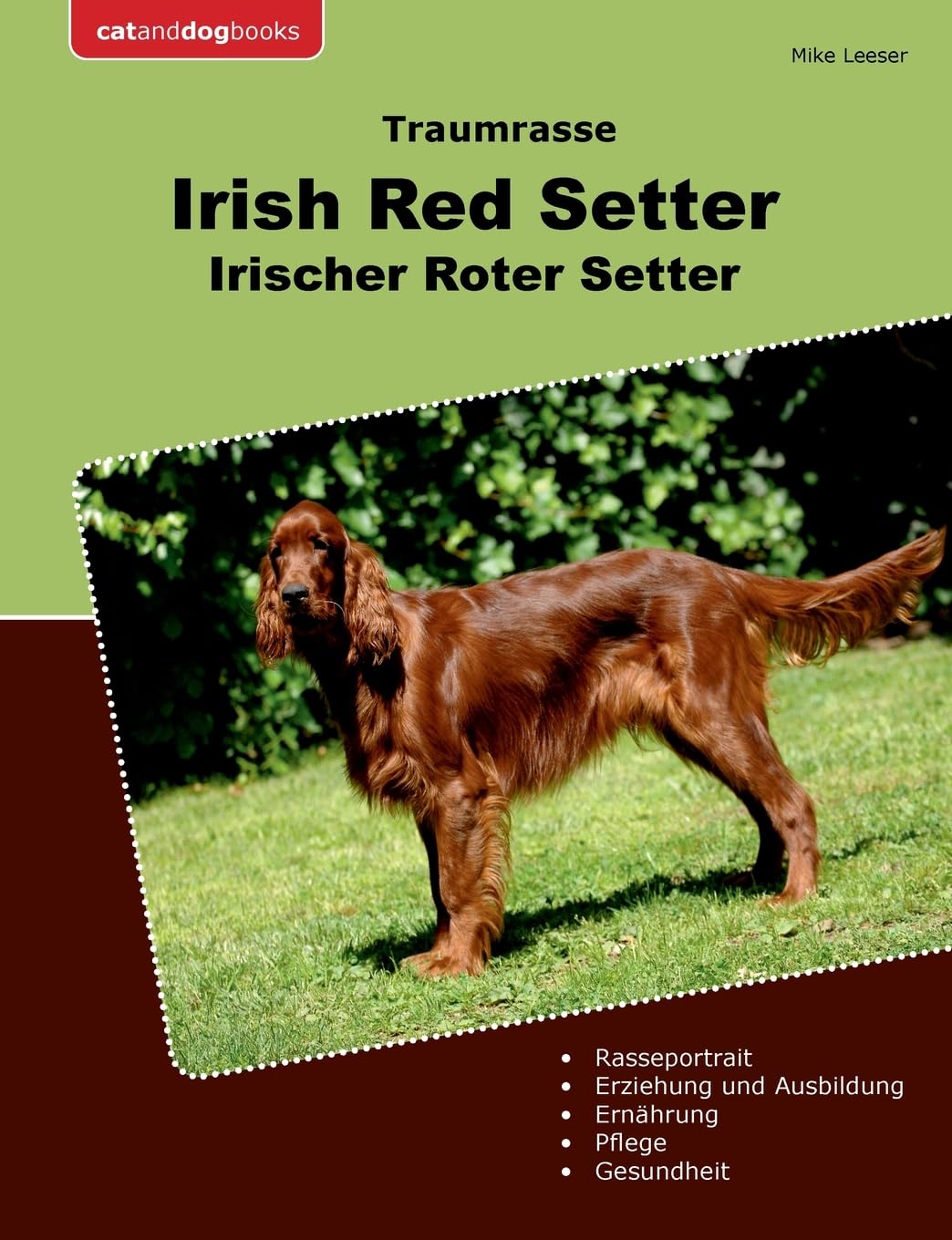 Traumrasse Irish Red Setter: Irischer Roter Setter