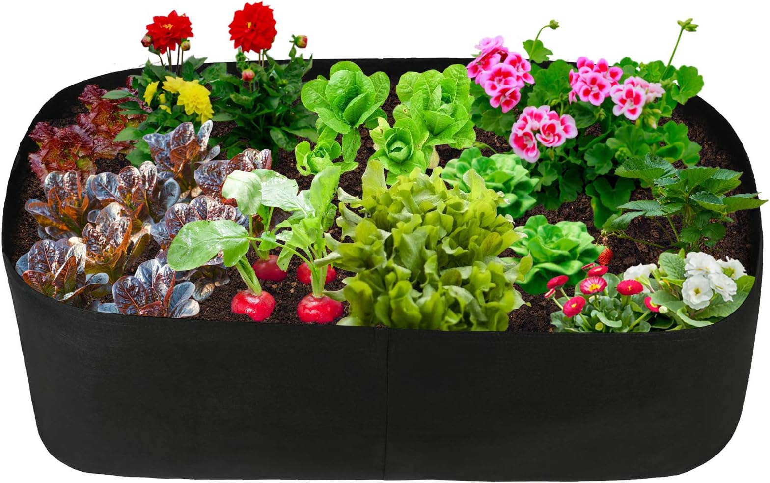 Pannow Fabric Raised Planting Bed, Garden Grow Bags Herb Flower Vegetable Plants Bed Rectangle Planter for Plants Flowers and Vegetables (2ft x 4ft)