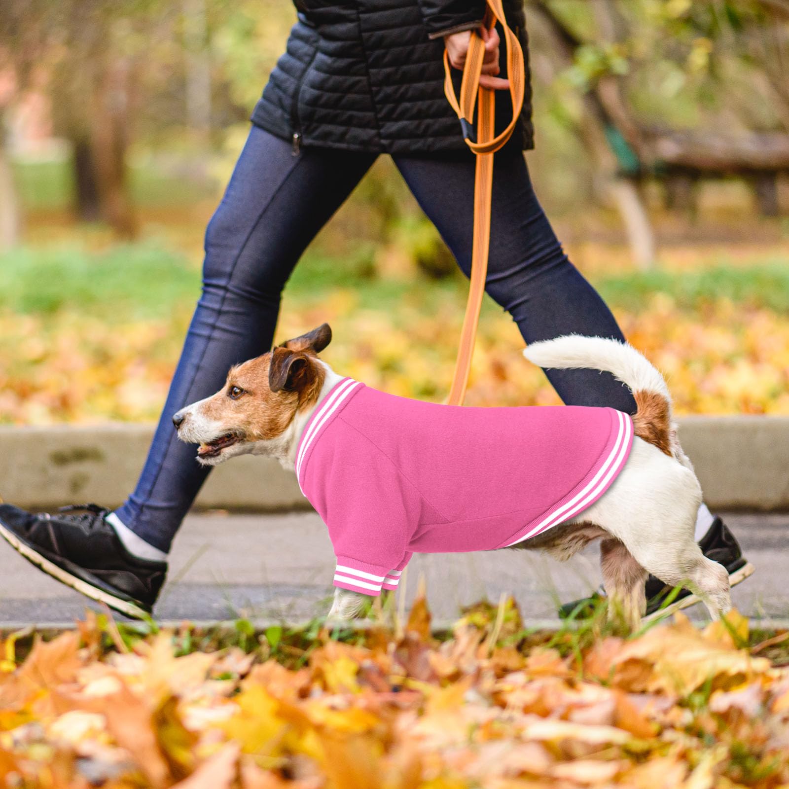 Hundepullover aus gebürstetem Fleece, Baseballjacke, weich, warm, Haustier-Sweatshirt, Hundepullover für kleine Hunde, Welpenpullover, Jungen, Mädchen, Haustier (Rosa, Größe XS)