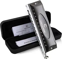 CONJURER Gaita cromática para crianças adultos iniciantes 12 furos 48 tons chave de C órgão de boca de aço inoxidável com mola de som de latão harpa azul na caixa, preta