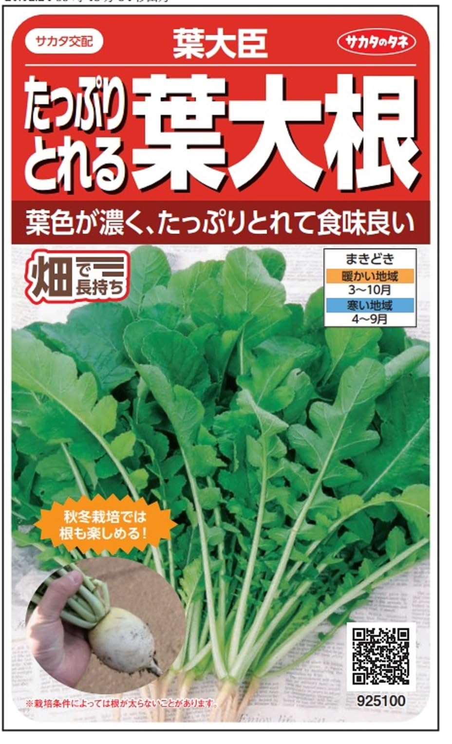 Amazon | サカタのタネ 実咲野菜5100 たっぷりとれる葉大根 葉大臣 | 野菜