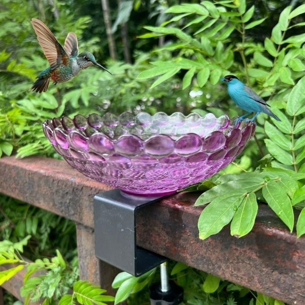 Baño para pájaros para barandilla de balcón, comedero de plástico portátil con abrazadera, cuenco de agua al aire libre para jardín, patio, terraza, ideal para pájaros pequeños