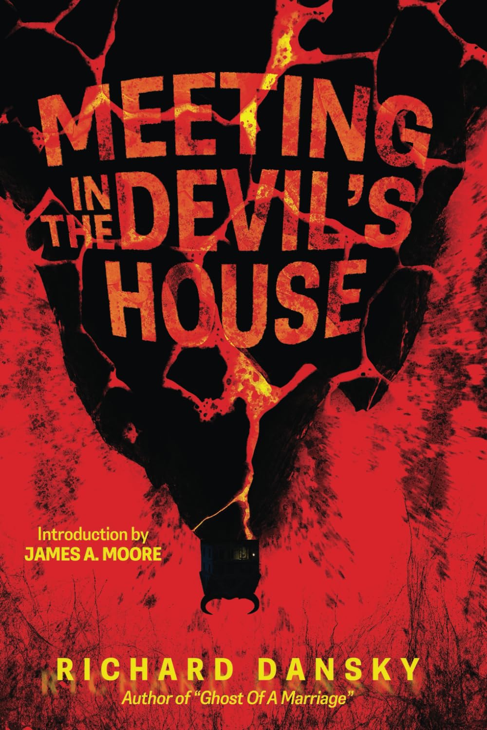 Buy A Meeting In The Devil's House — BookShops.in