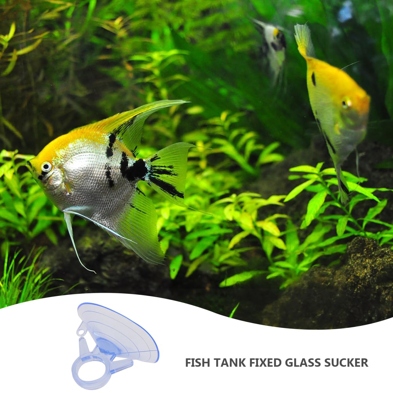 Homoyoyo 12PCS 45MM PVC Suction Cups with Loops, Versatile Fixed Glass and Window Suckers for Aquariums - Image 3
