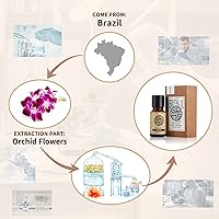 Vista 89 de AKARZ Aceite esencial de vainilla natural orgánico puro aceite de vainilla terapéutico prémium para el cuidado del cabello de la piel, cuerpo
