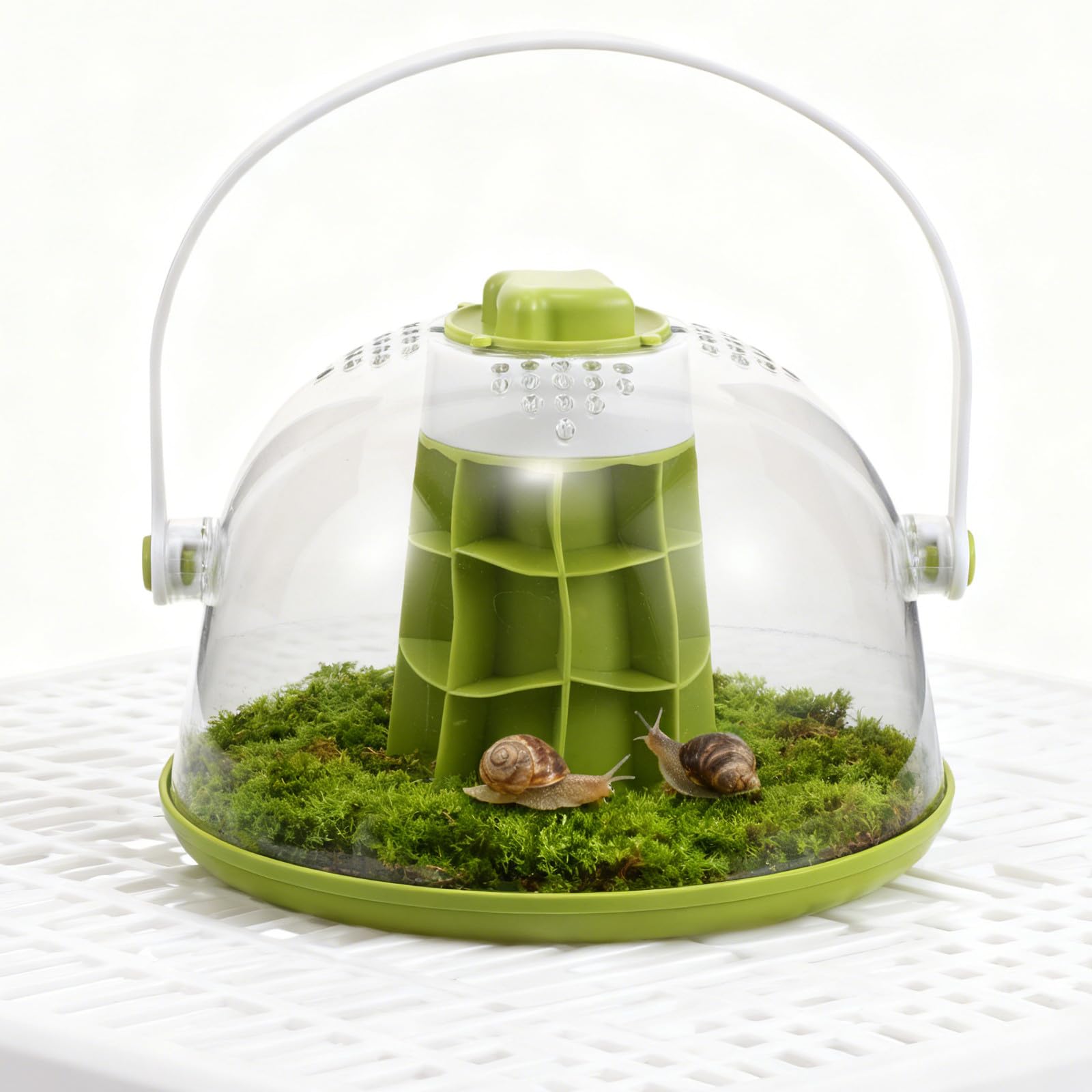 Ciieeo Terrario Osservazione Lumache Trasparente ABS Rettangolare 20 Cm | Base Removibile, Aperture Accessibili e Fondo Solido, Fori di Ventilazione per Uso Scolastico e Gite in Famiglia