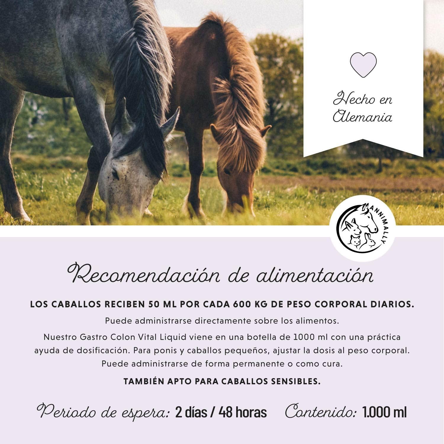 Líquido gastrointestinal para Caballos 1000 ml - Gastro Colon Vital para apoyar la digestión, por Ejemplo en Caso de diarrea - Hierbas Naturales para el estómago de los Caballos.