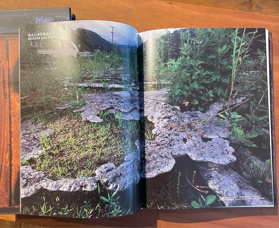 【新品: 全2冊揃い】陶21 21世紀の焼き物ルネッサンス 新品: 全2冊揃い】陶21 21世紀の焼き物ルネッサンス