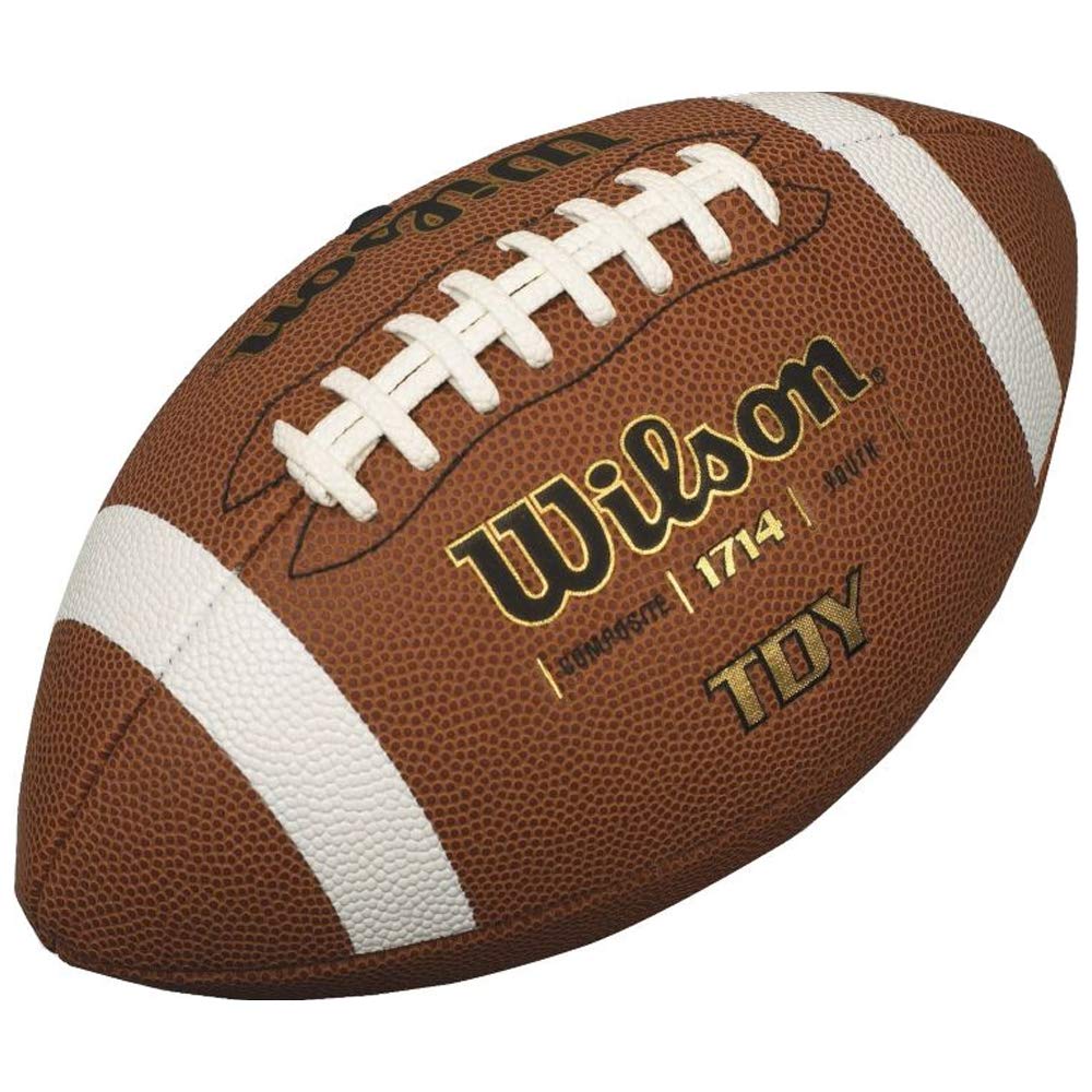 Wilson Composite Football