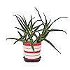 Product Photo 4