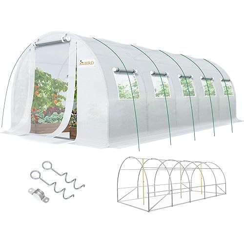 KING BIRD Premium 25x10x6.6FT Greenhouse for Outdoors, Large Walk-in Heavy Duty Galvanized Steel Frame, Mesh Door Screen Window Upgraded Zipper Tunnel Hoop for Garden Plant Winter, White
