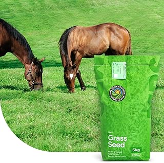 Horse Elite Mix: MĂ©lange Prairie Universelle | 2 kg pour 200 mÂČ | IdĂ©al pour Les Chevaux et Le Petit bĂ©tail | Convient aux pĂątures et aux Grands espaces | Facile Ă Entretenir | Couverture Rapide