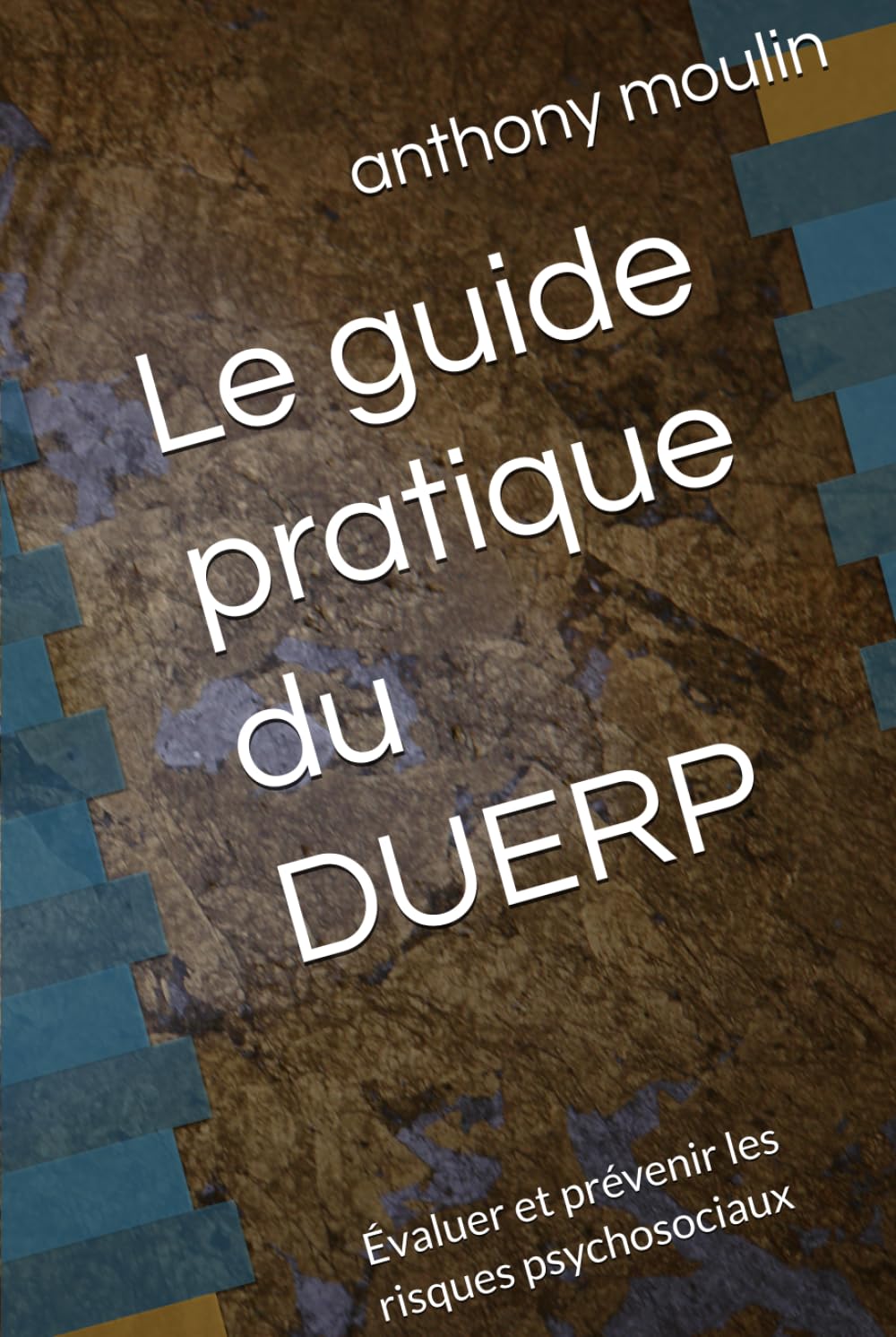 Le guide pratique du DUERP: Évaluer et prévenir les risques psychosociaux (Livres pro)