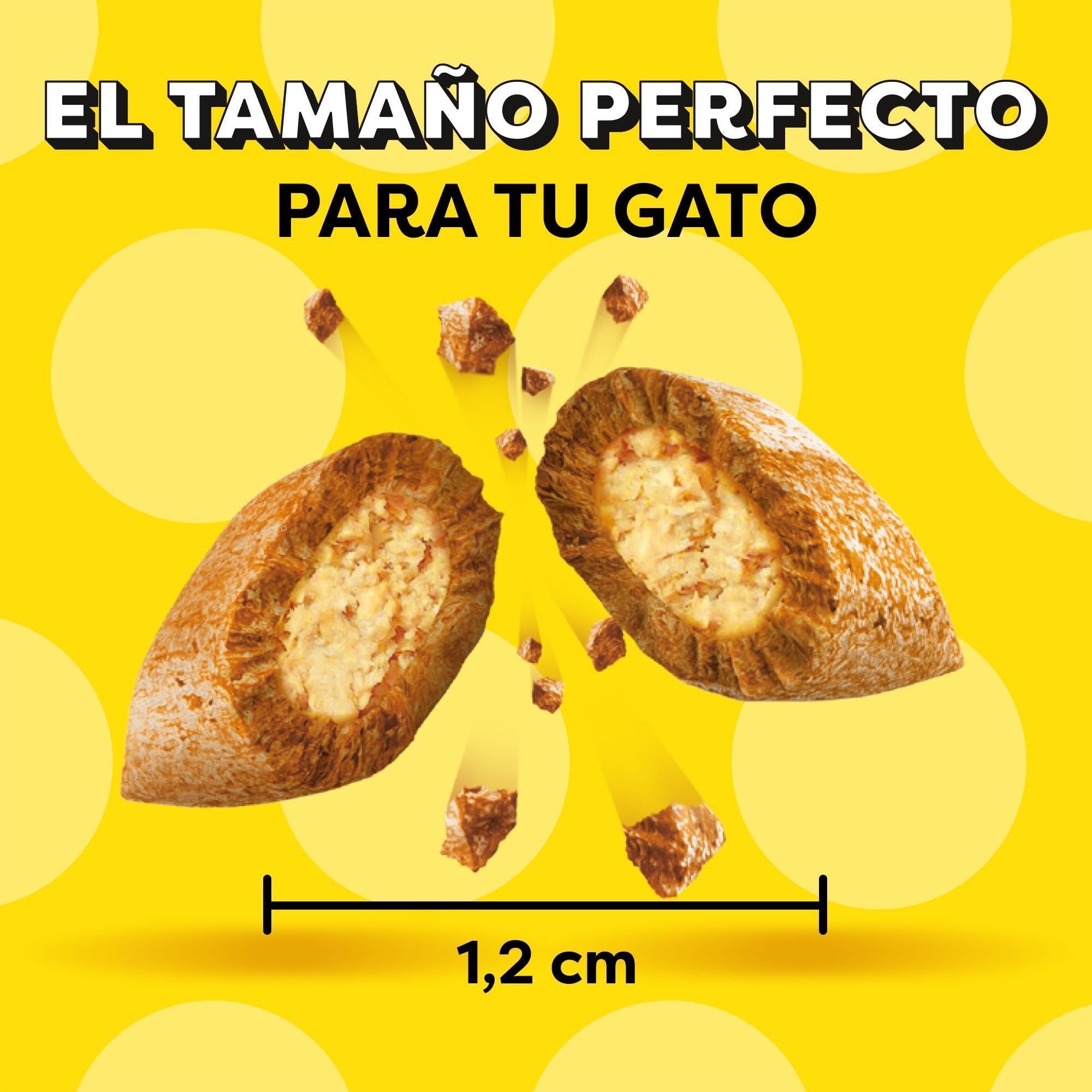 Mars Catisfactions Premios para Gatos, Sabor Salmón (Pack de 6 x 60g)