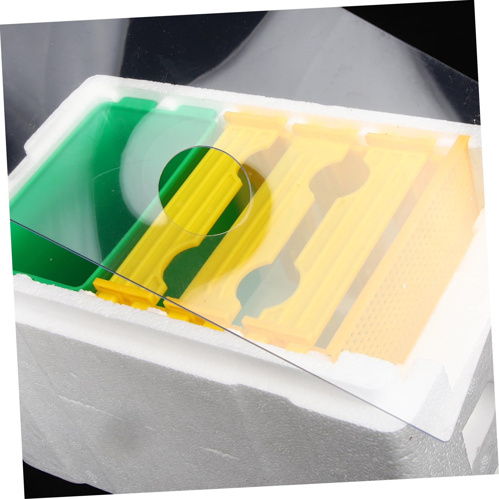 Scatola Impollinatrice per Apicoltura in Plastica Resistente, Arnia da 3 Griglie per Accoppiamento Api, Strumento Assemblato per Apicoltori e Alimentazione Api in Giardino