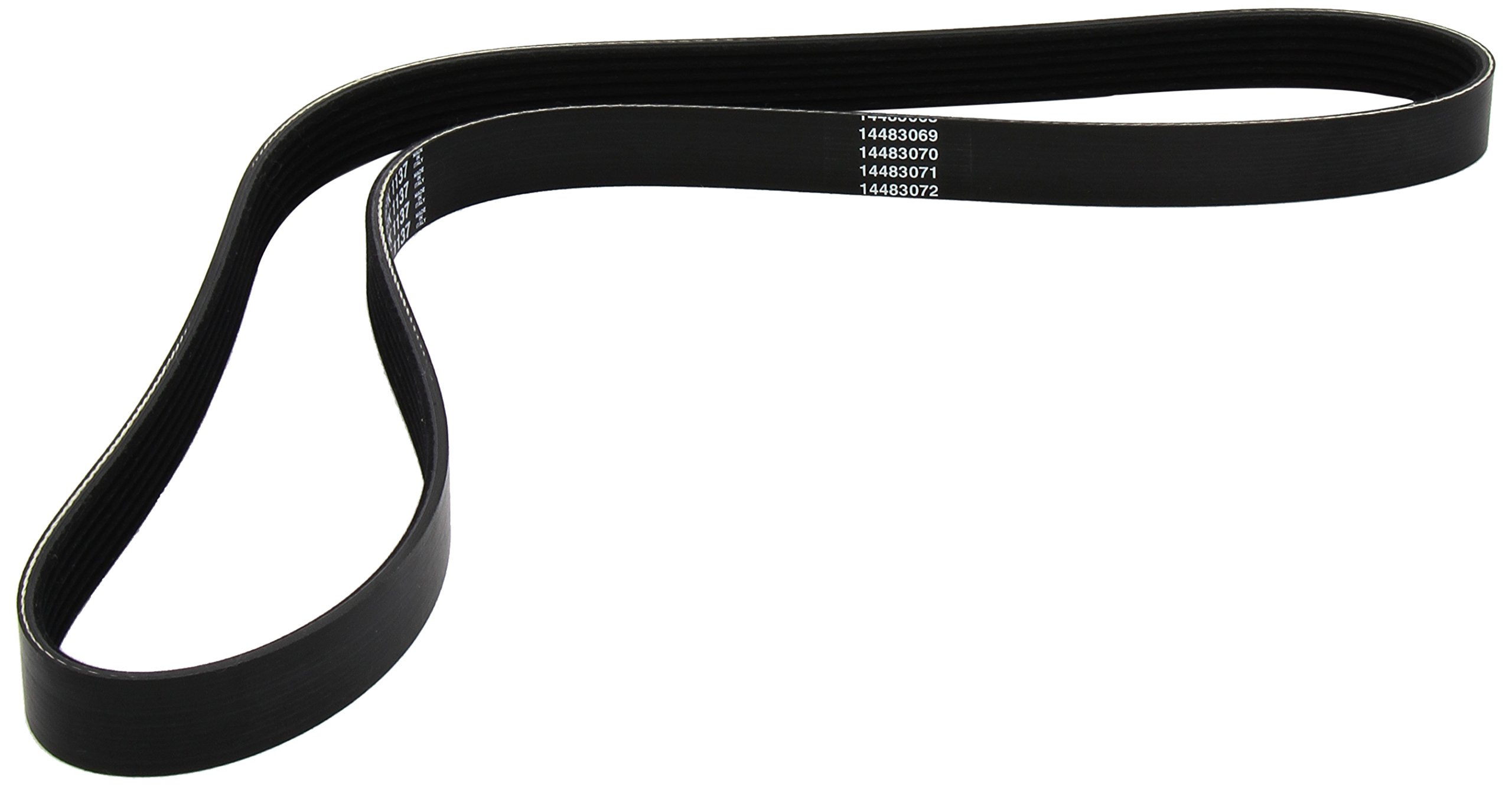 Dayco 6PK1137 Poly Rib Belt