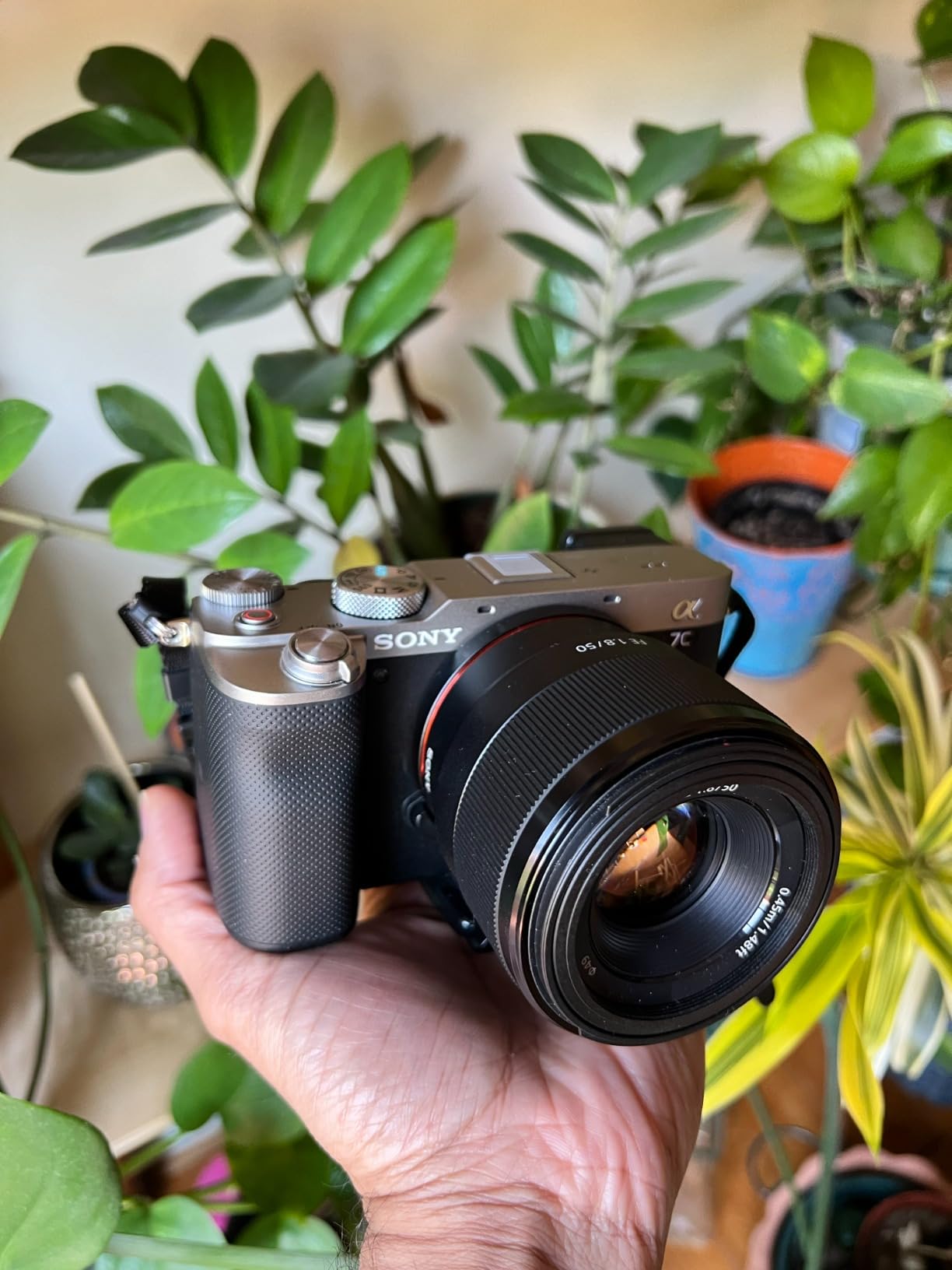 Pretty camera with flaws