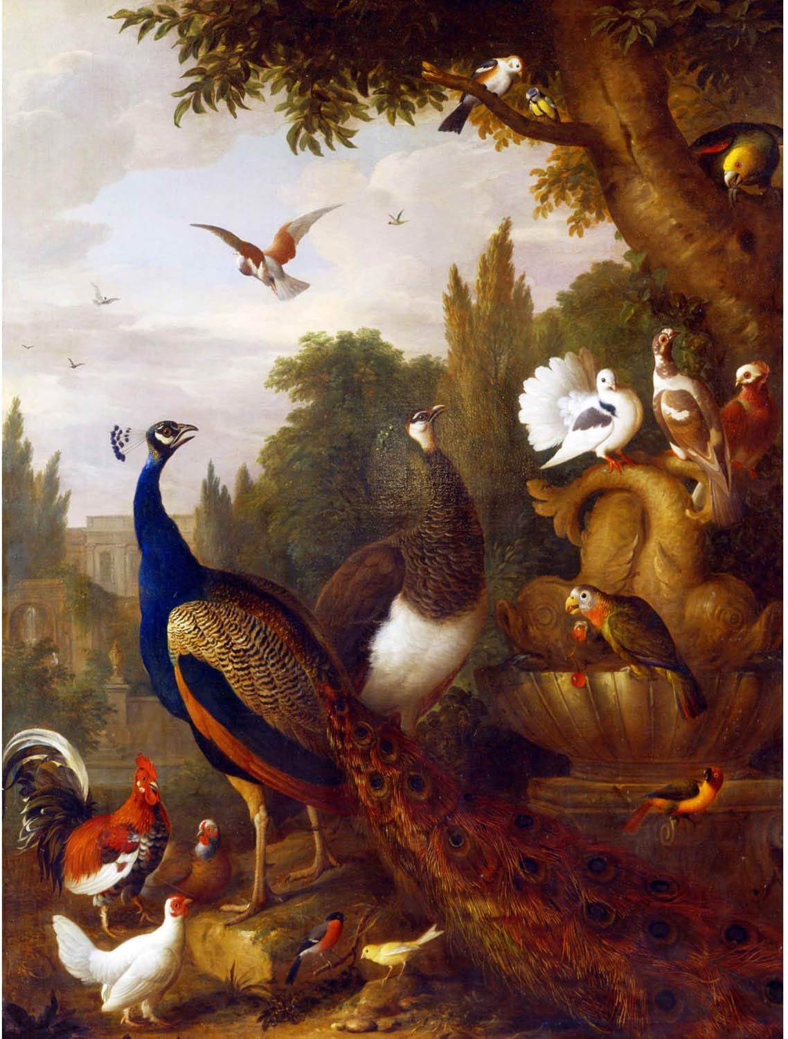 Wee Blue CooNATURE ANIMAL BIRDS BOGDANI PEACOCK PARROT CANARY PARK POSTER PRINT