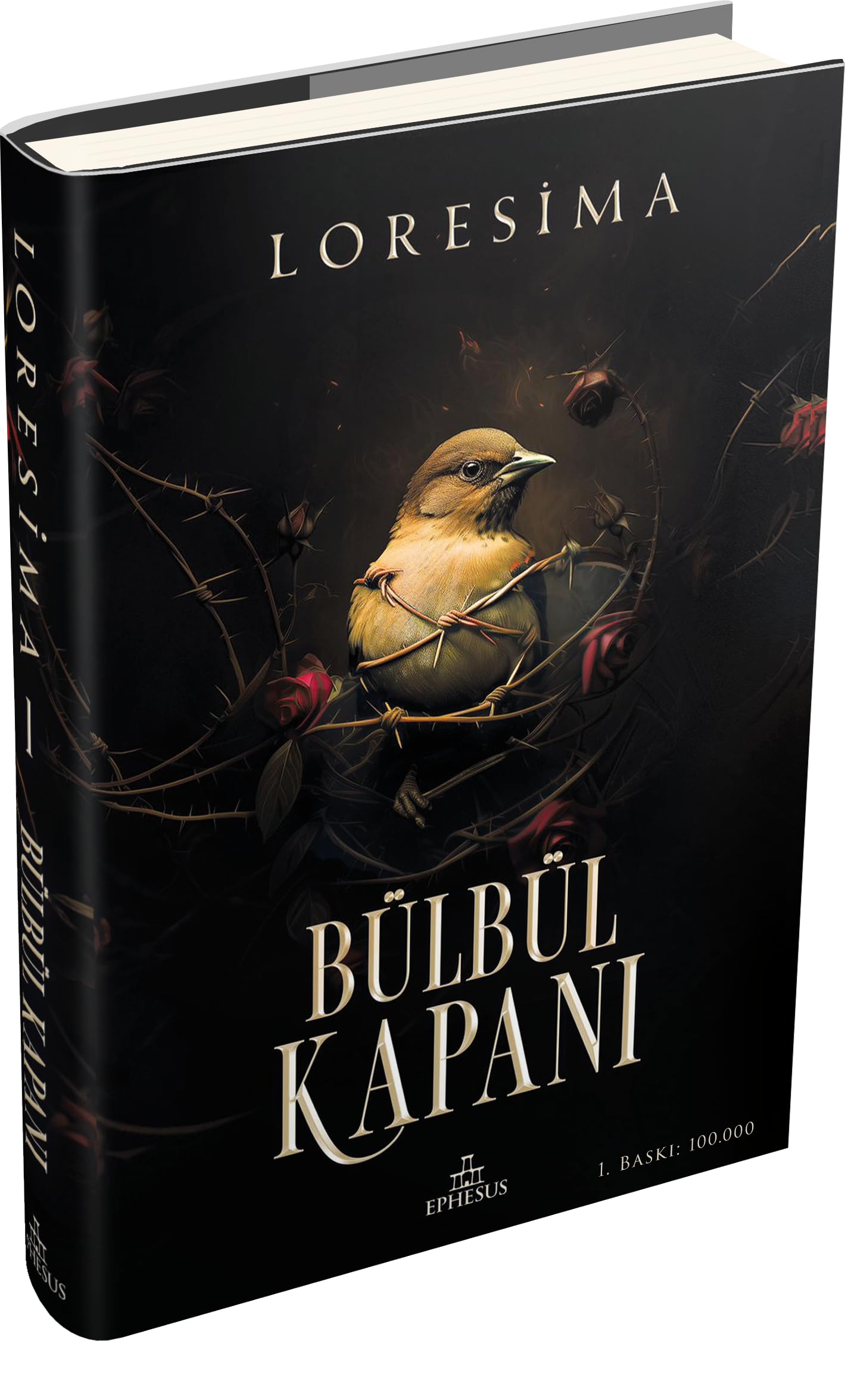 Bülbül Kapani 1 (Ciltli)