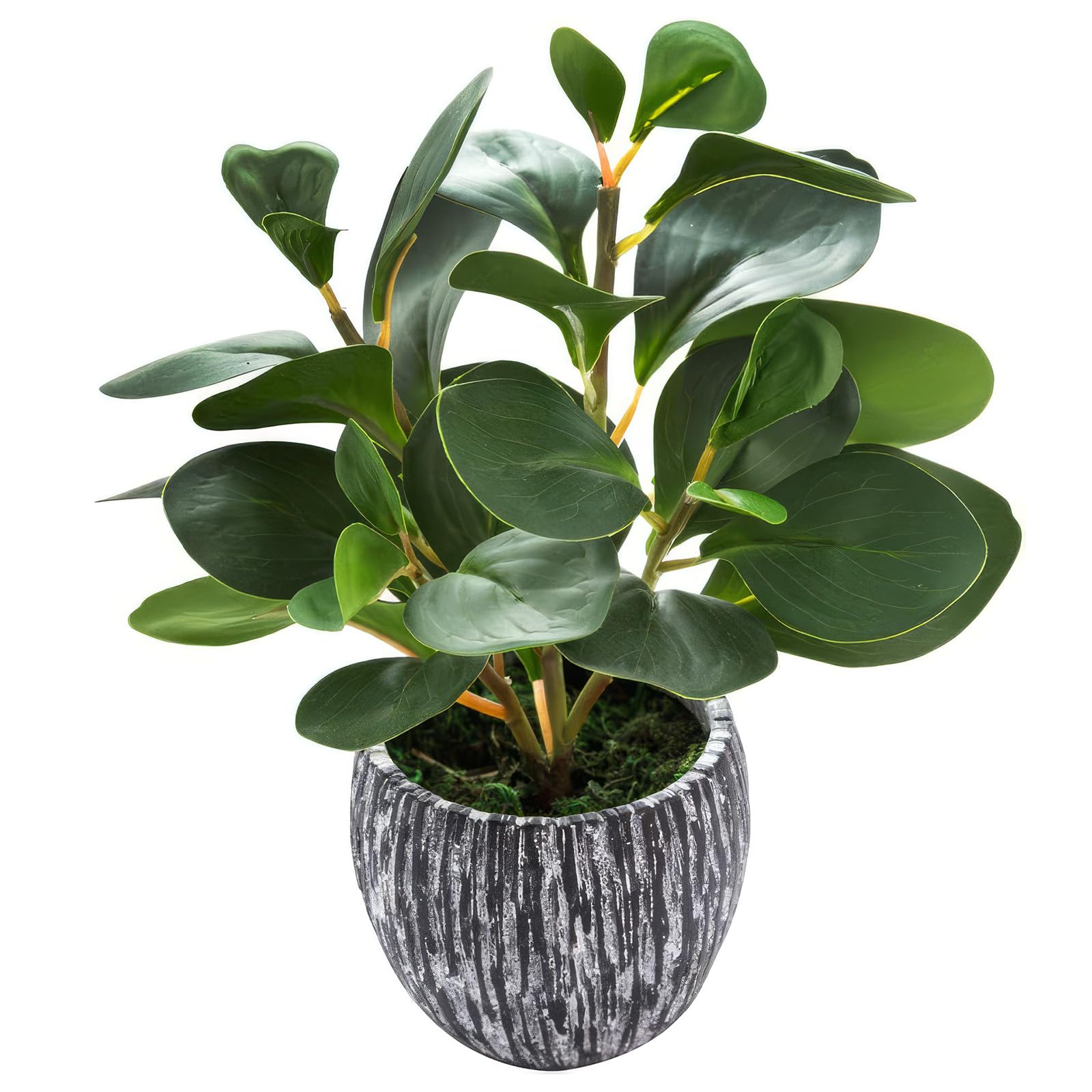 Blomza Ferns 14.5 × 14.5 × 34 Cm Lifelike Fake Succulent With Planter – Farmhouse Style Indoor Tabletop Decor (Ferns 14.5 × 14.5 × 34 Cm)