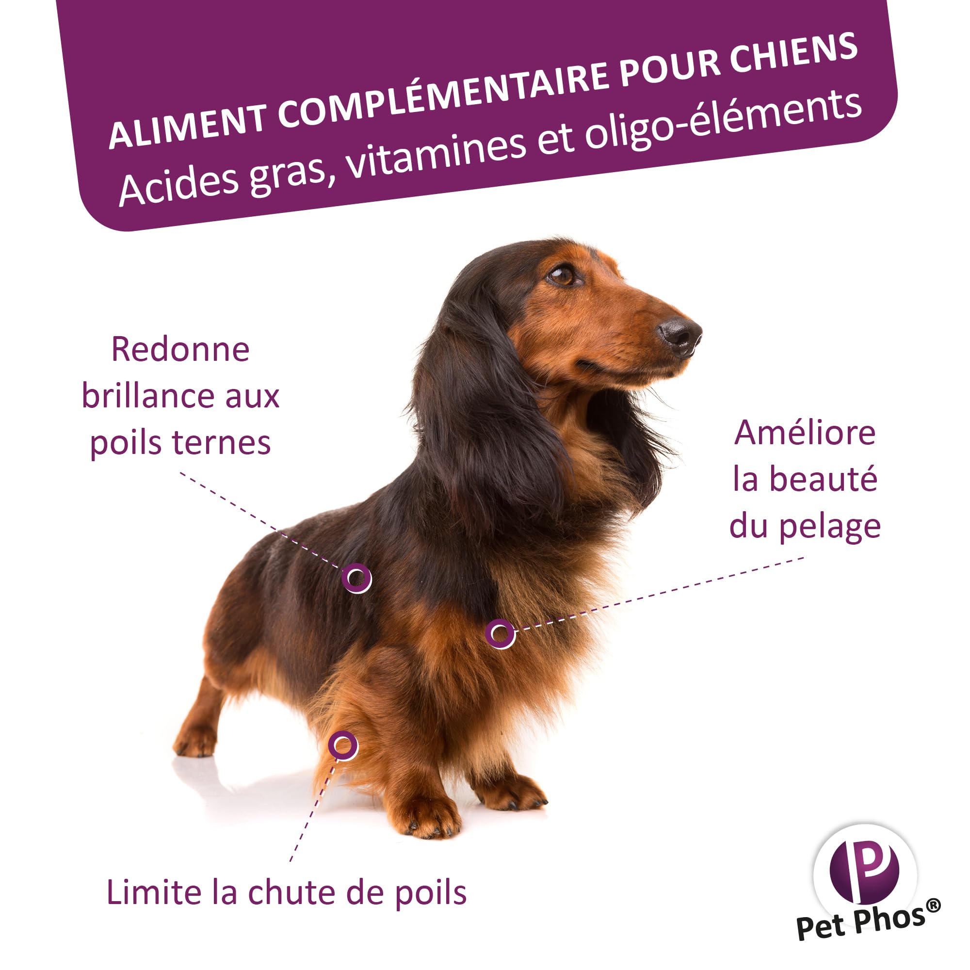 Pet PHOS Pelage Chien - Pelage Sec, terne et abîmé - Chute abondante des Poils - Période de mue - Préparation aux Concours et expositions.