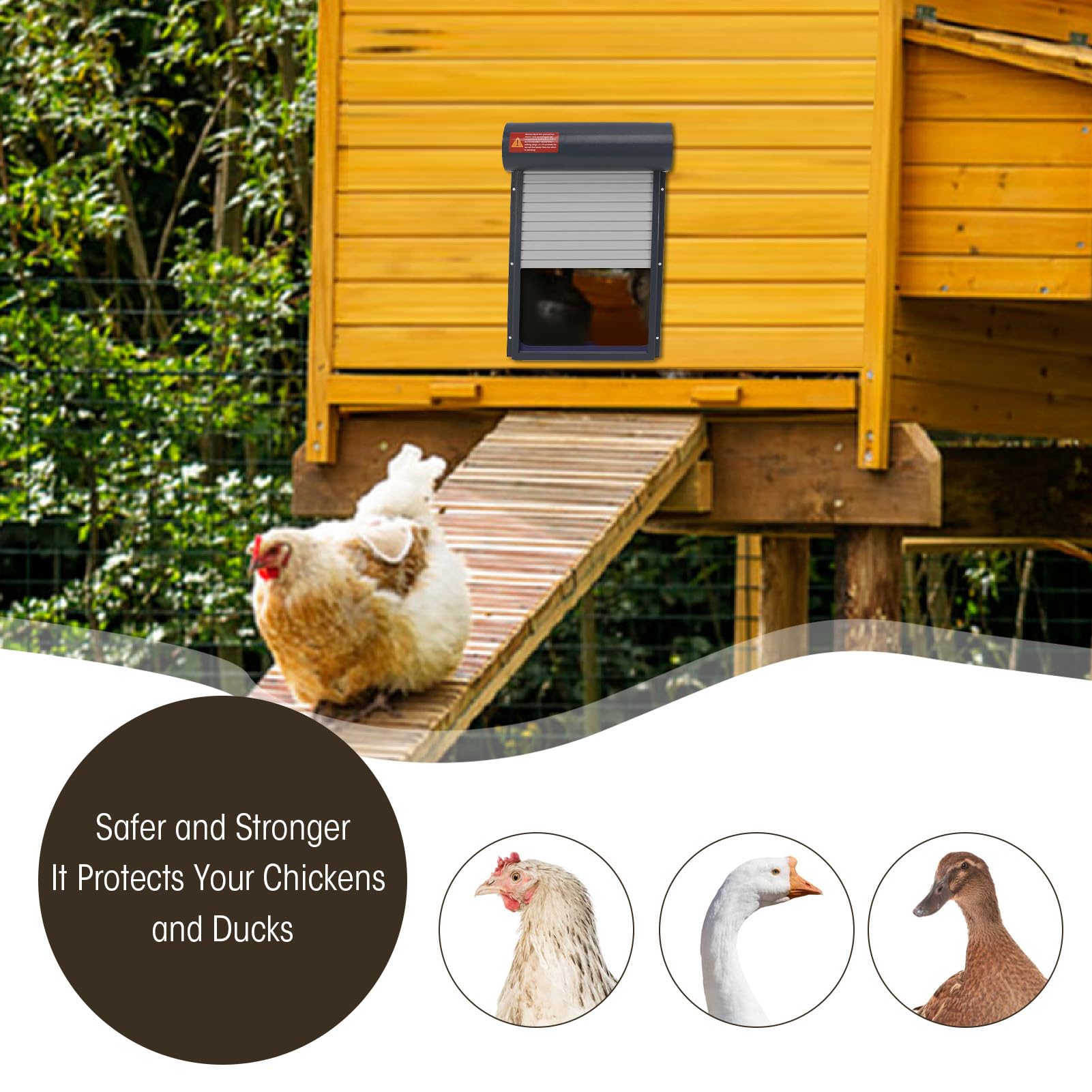 Porta Automatica per Pollaio Ad Energia Solare con Timer E Telecomando, Apriporta per Pollaio Grigio per Anatre