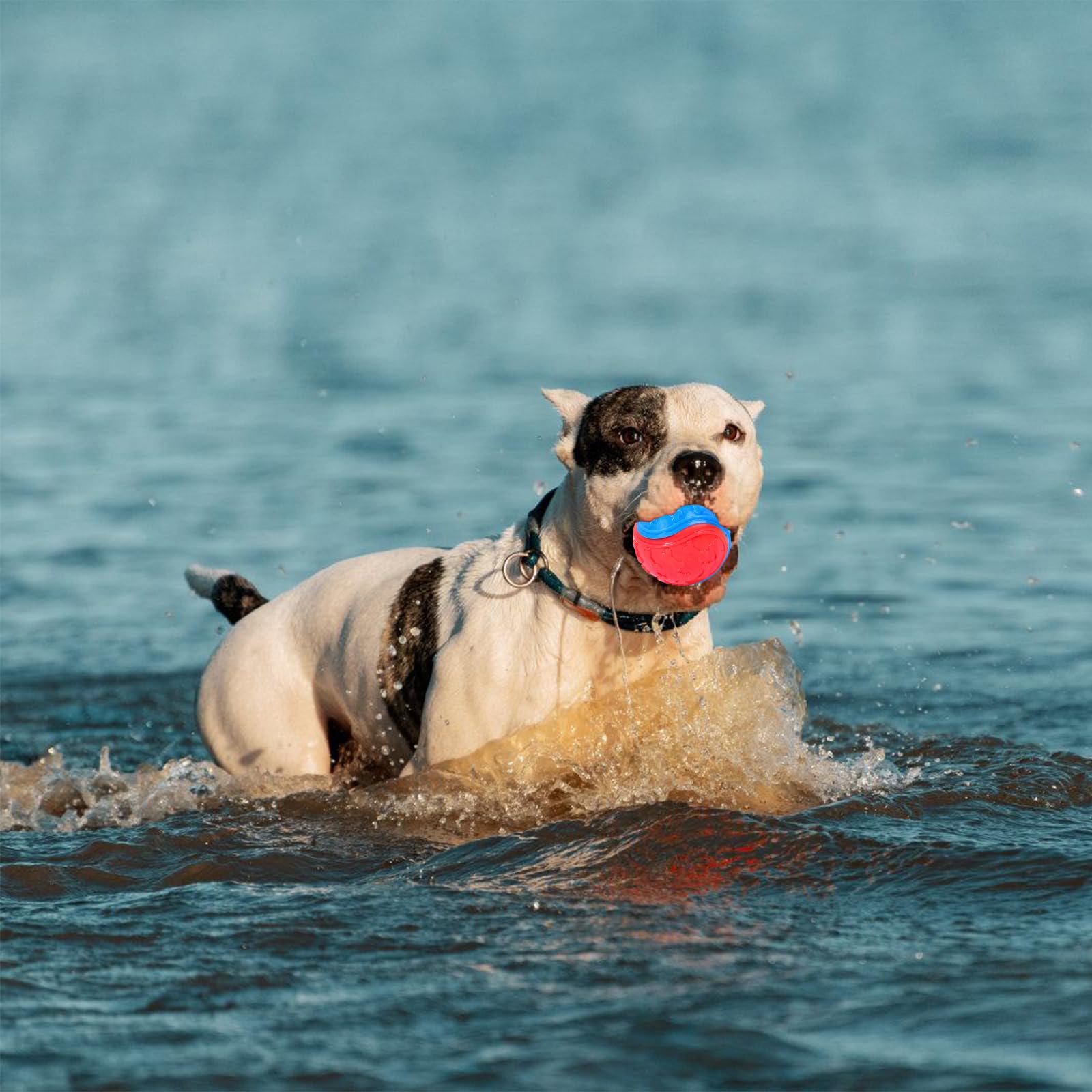PORUPAEL 6 Pcs Squeaky Dog Ball - Image 4
