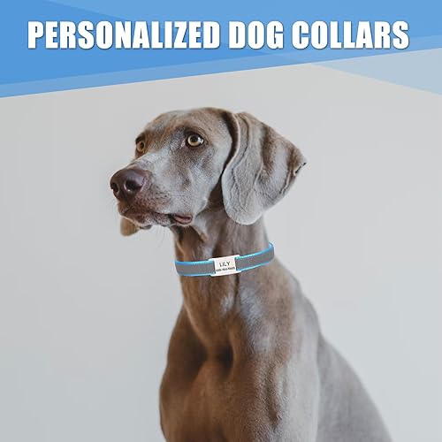 Miniatura 6 de Collar reflectante personalizado para perro con placa de nombre, ajustable grabado personalizado con nombre de mascota y número de teléfono, placa