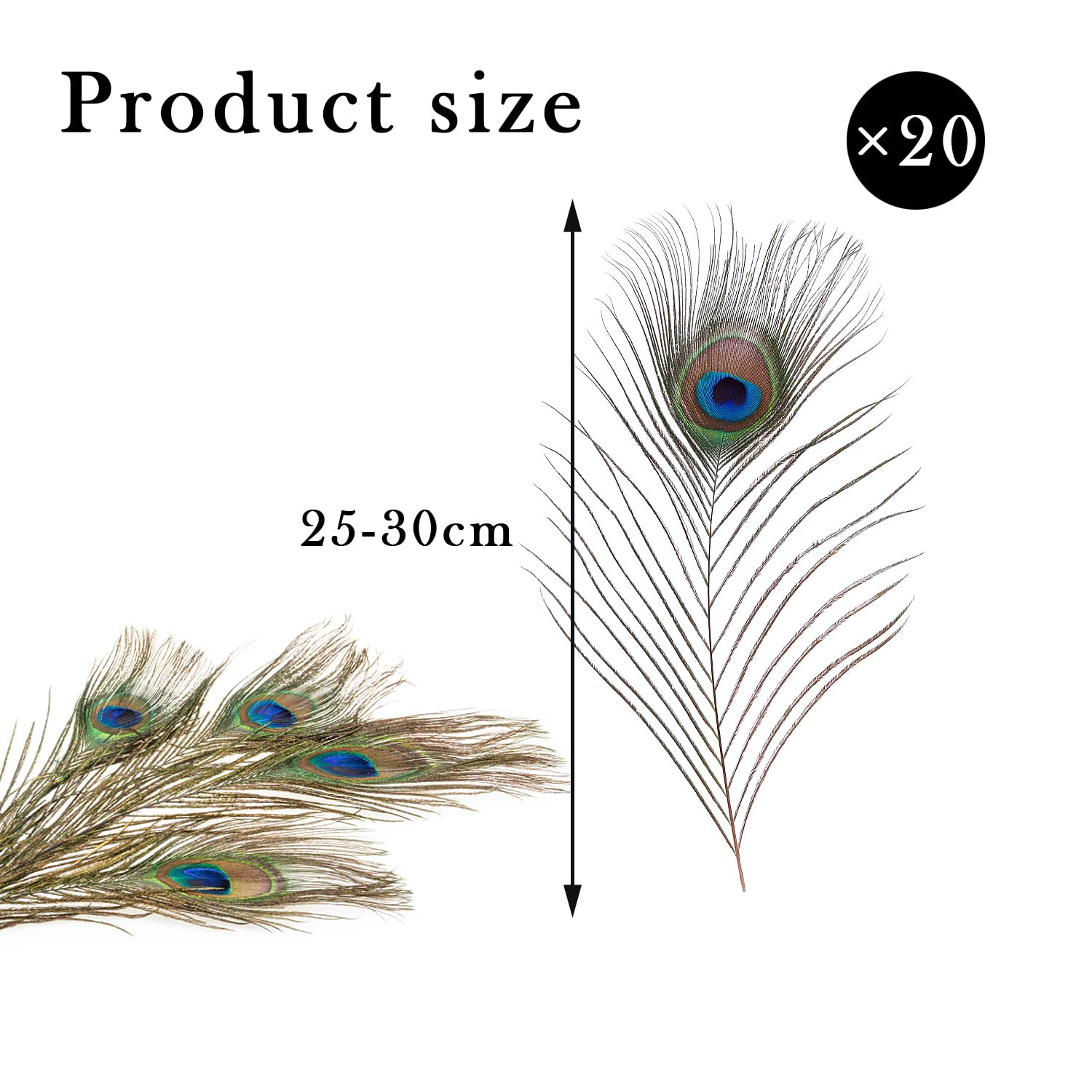 Piume Di Pavone Naturali - 100 Pezzi Da 30-35 Cm - Per Decorazioni Fai Da Te, Matrimoni, Feste E Costumi