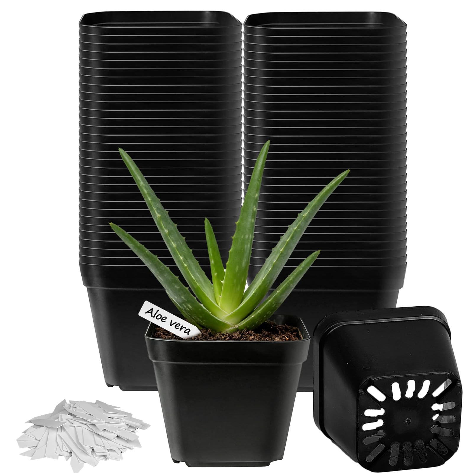 TEYIAN 60pcs 10cm Plastic Plant Pots Flower Nursery Pots Herb Pot Seed Seedling Pots with Drainage Hole and 100Pcs Plant Labels for Succulent, Flowers, Cactus All House Plants