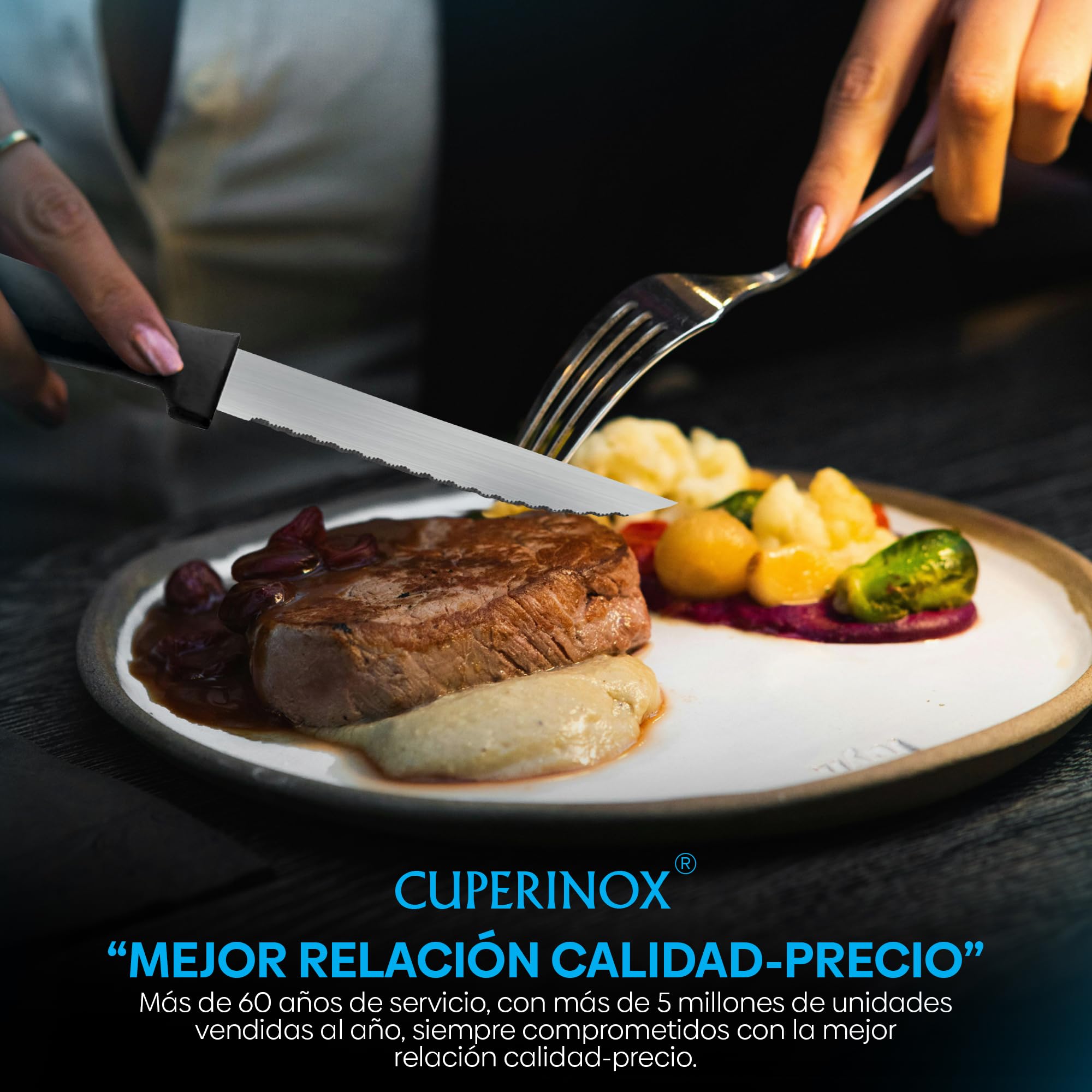 Cuchillos de Mesa Acero Inoxidable – Set Profesional 12 Piezas con Hoja Serrada de 11 cm y Mango Ergonómico Antideslizante – Para Carne, Verduras y Pescado
