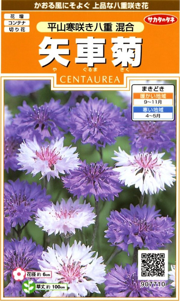 世界に夢をまく「サカタのタネ」 Amazon | サカタのタネ 実咲ハーブ8076 タイム ハーブ 00928076