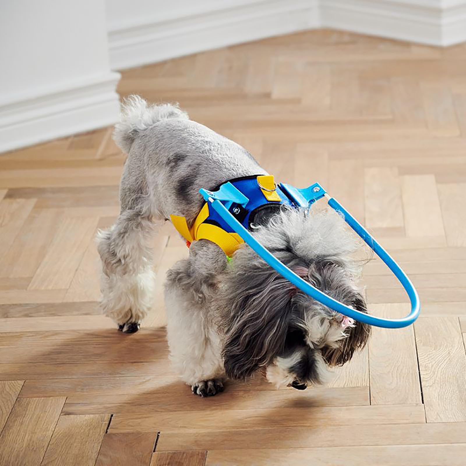 Pettorina per cani ciechi con alone, equipaggiamento di sicurezza anti-collisione per mobilità e sicurezza senza ostacoli, protezione per animali domestici ad alto comfort