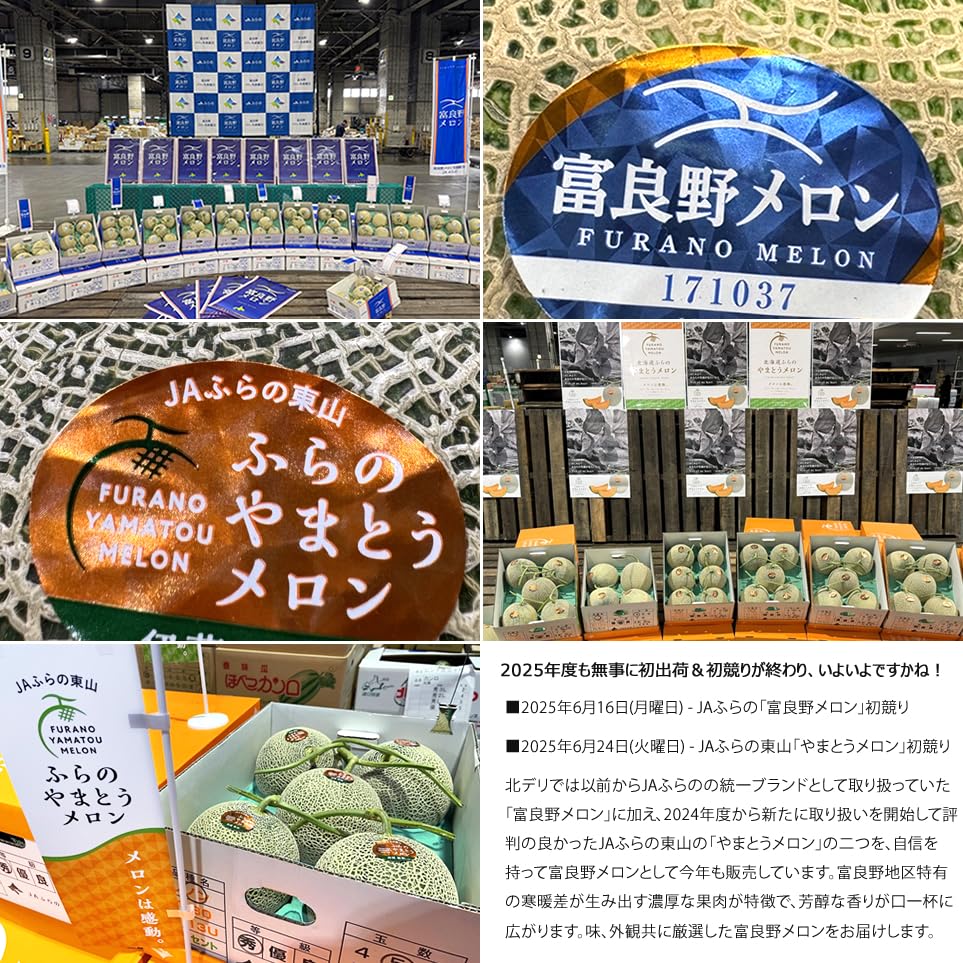 Amazon.co.jp: 北のデリシャス 北海道産 富良野メロン 2玉入り (共撰