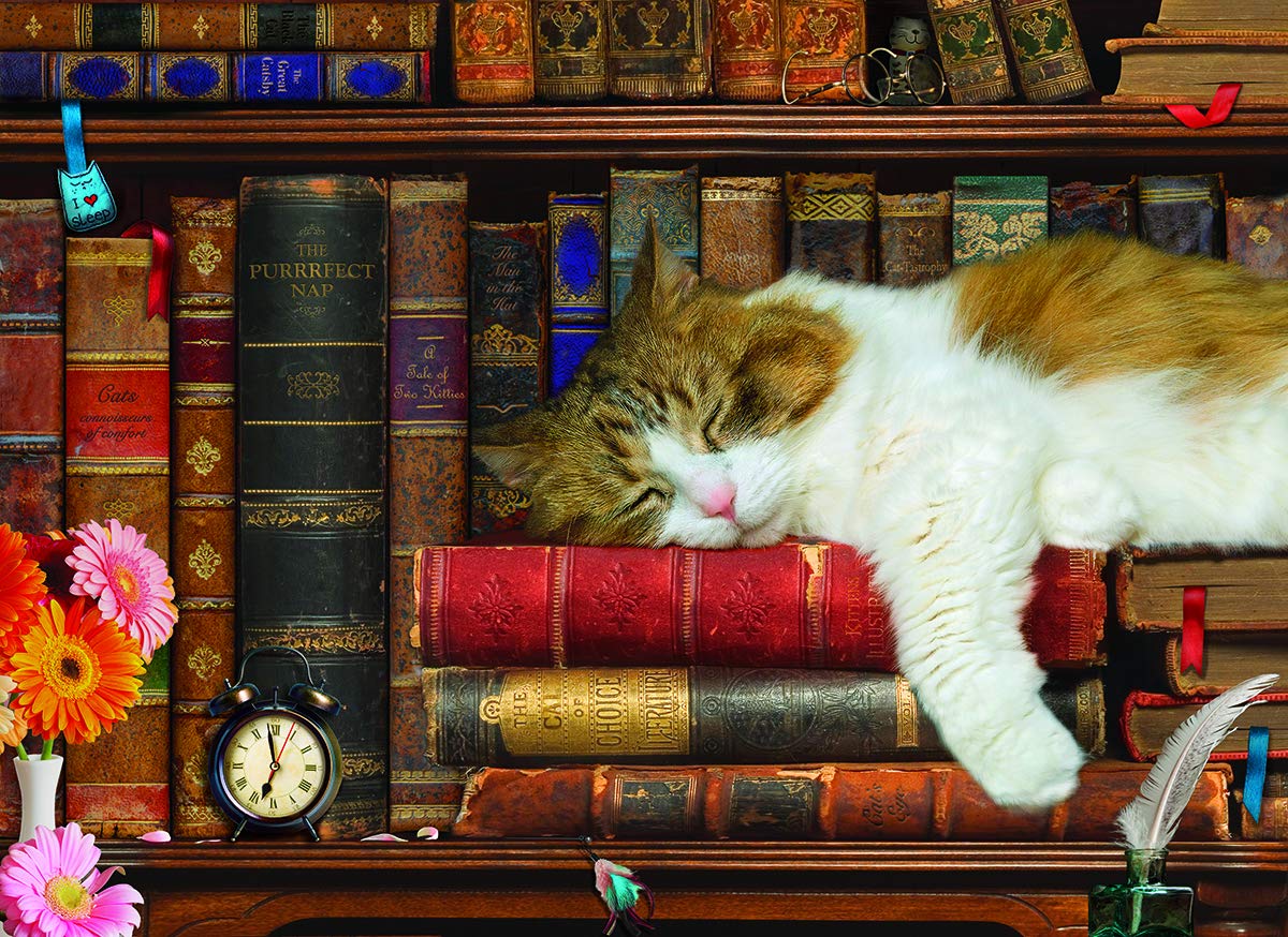 Amazon.com: The Cat Nap : Eurographics: Toys & Games