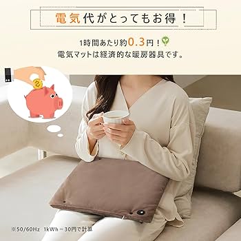 Amazon | ホットマット usb 給電式 一人用 電気マット ミニ