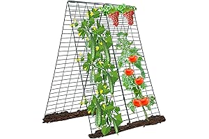 Green Bean Trellis for Raised Beds: Sturdy Support for Your Climbing Plants