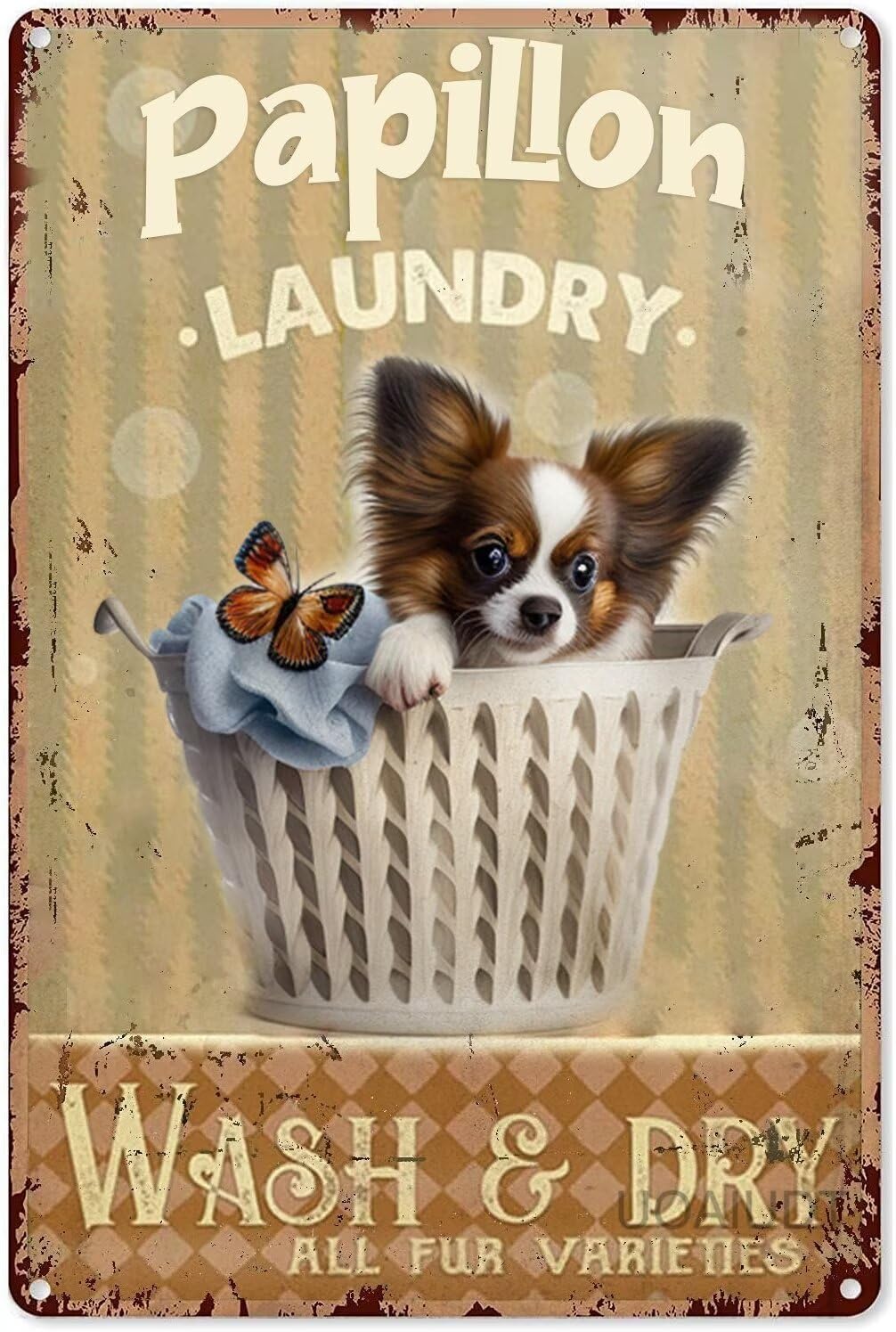 peiyeety Metal Tin Sign Papillon Dog Laundry Room Art Decorative 8x12 Inch Vintage Retro Wall Art Plaque For Laundry Room Dog Lover Rustic Funny Novelty Wall Decor
