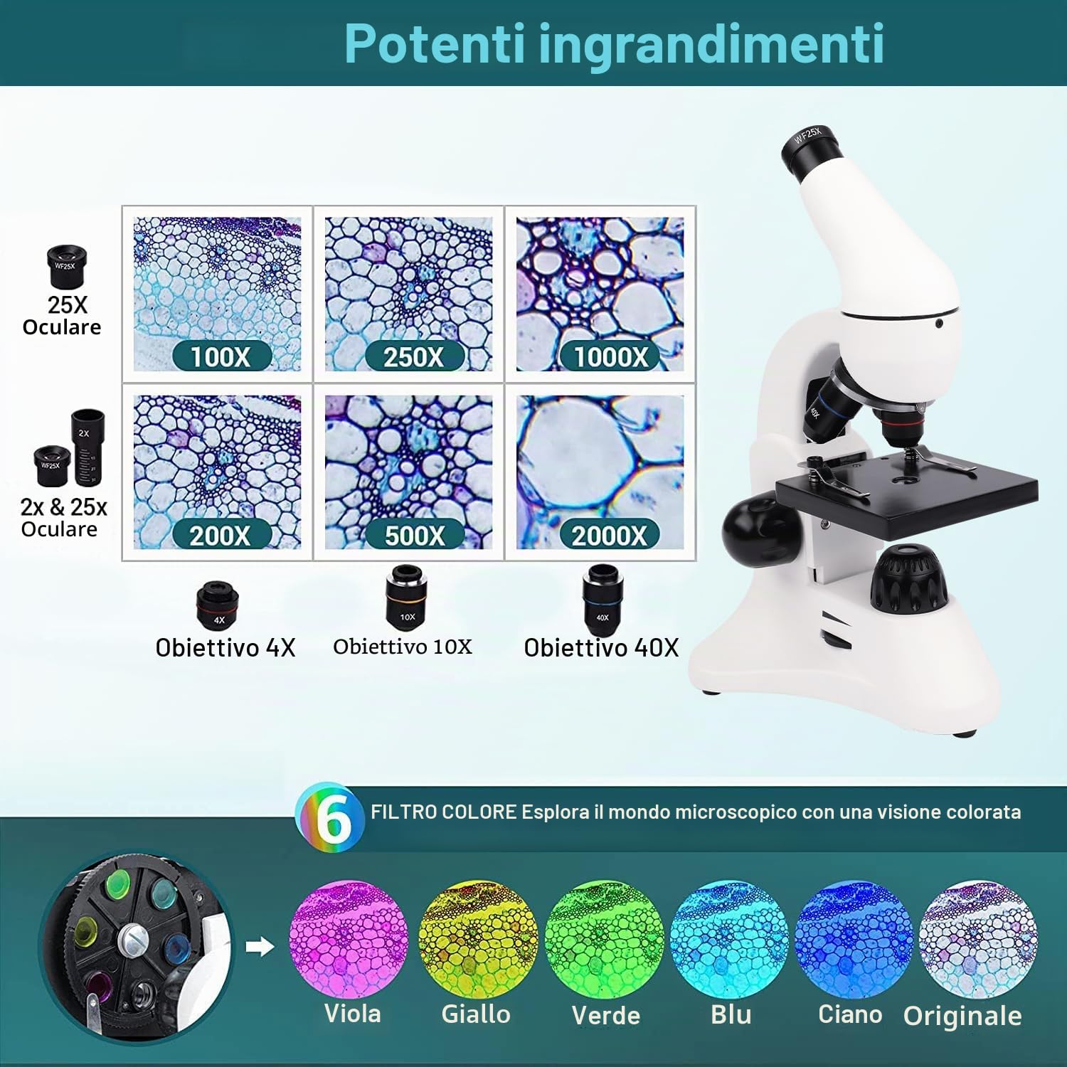 USCAMEL 40X-2000X Microscopio per Bambini Studenti Adulti, con Vetrini per Set, Microscopio Professionale per Scuola Laboratorio Home Biologico Enducation