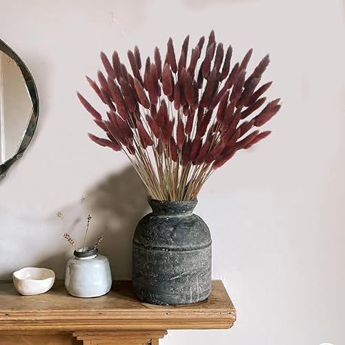 Miniatura 4 de 120 piezas de flores secas de cola de conejo, lagurus ovatus, flores secas naturales, cola de conejo, hierba seca, hierba de pampa, arreglo floral