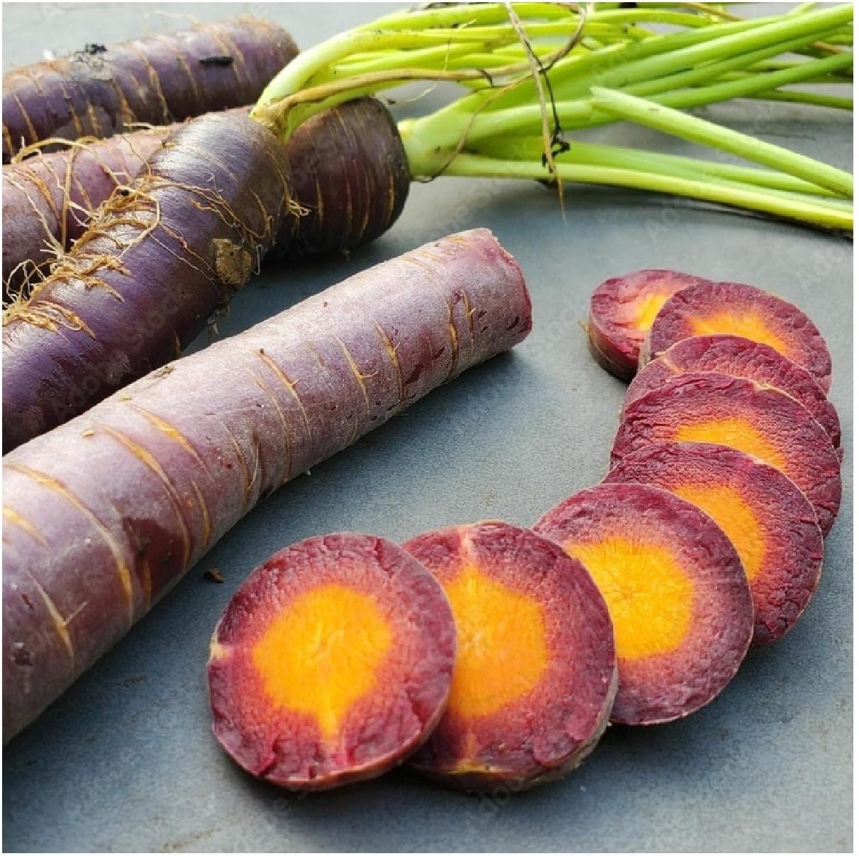 Everwilde Farms - 1/4 Lb Cosmic Purple Carrot Seeds - Gold Vault