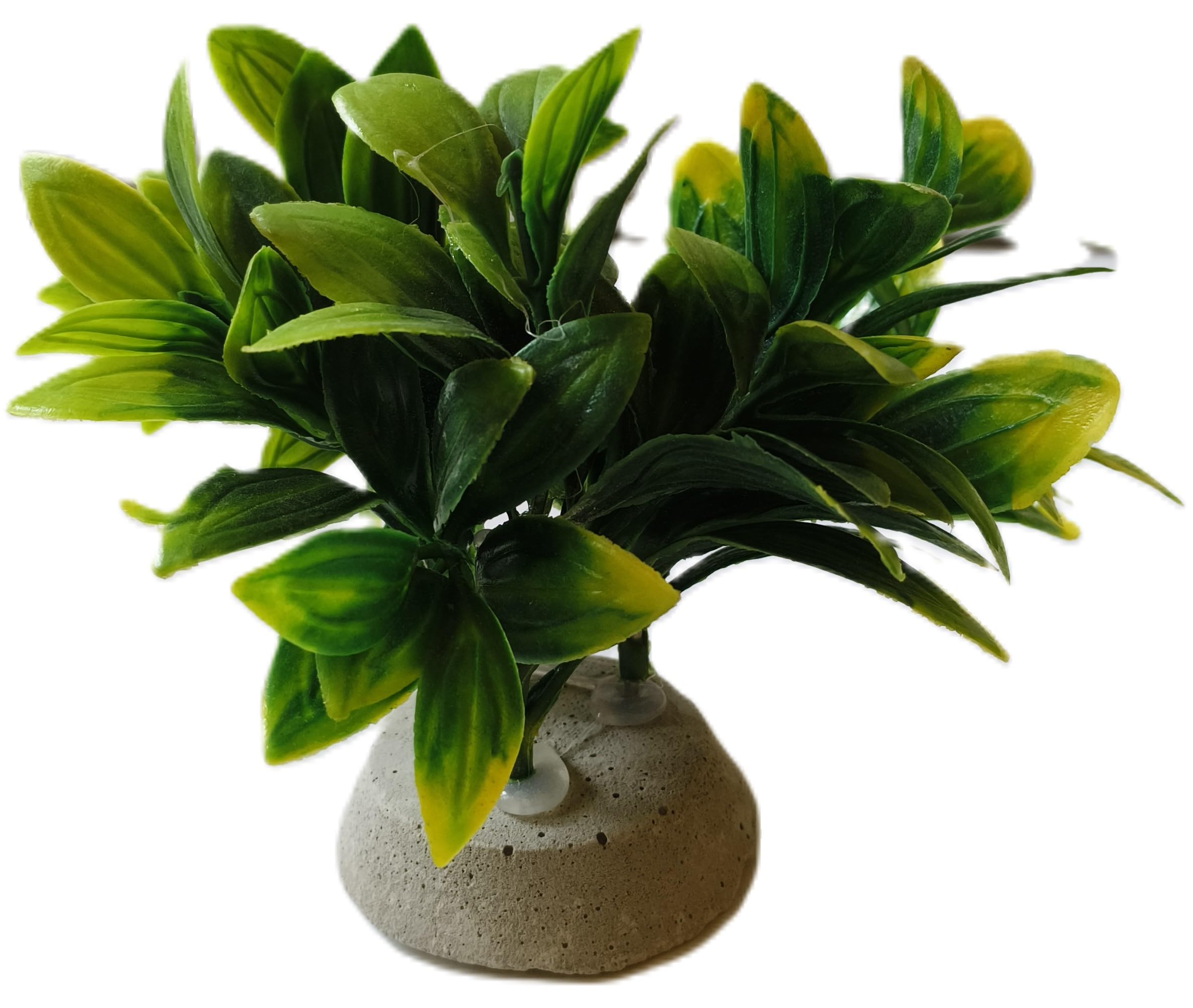 Fluff & Fins Co. Petite Adorable Plant: The Perfect Fish Tank Decor | Perfect for Small to Medium Fish Tank | Perfect for Home Decor | Green and Yellow Plastic Plant for Aquarium | Carpet Plant (B0CD1N4SP4) Amazon Price History, Amazon Price Tracker