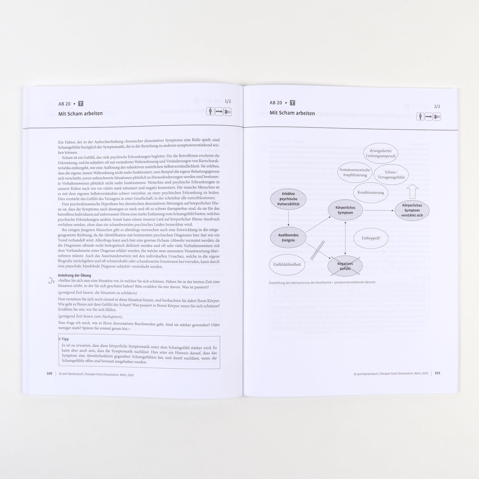 Therapie-Tools Dissoziation: Mit Online-Material (Beltz Therapie-Tools)